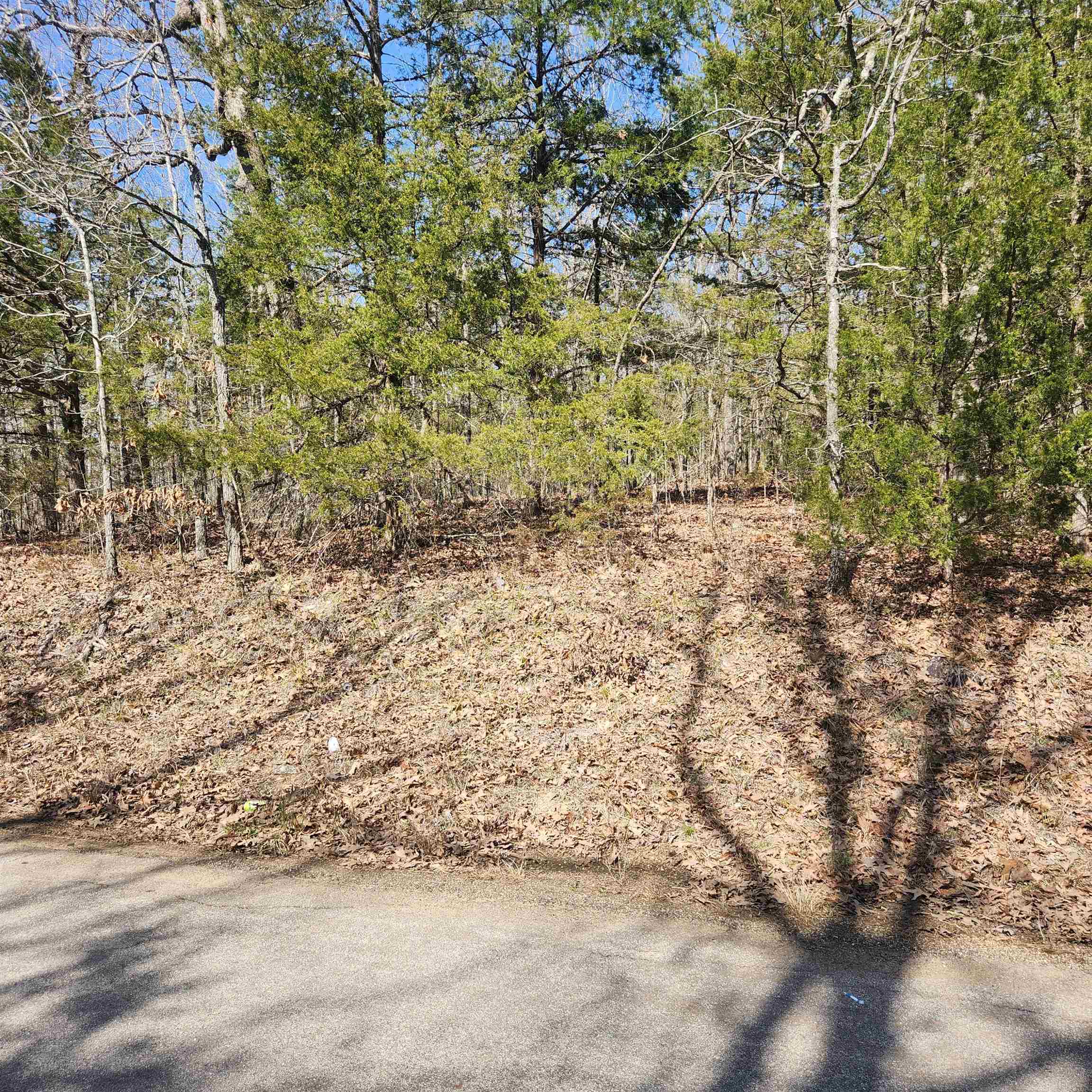 L-10, B-17 Hiawatha  Cherokee Village, AR