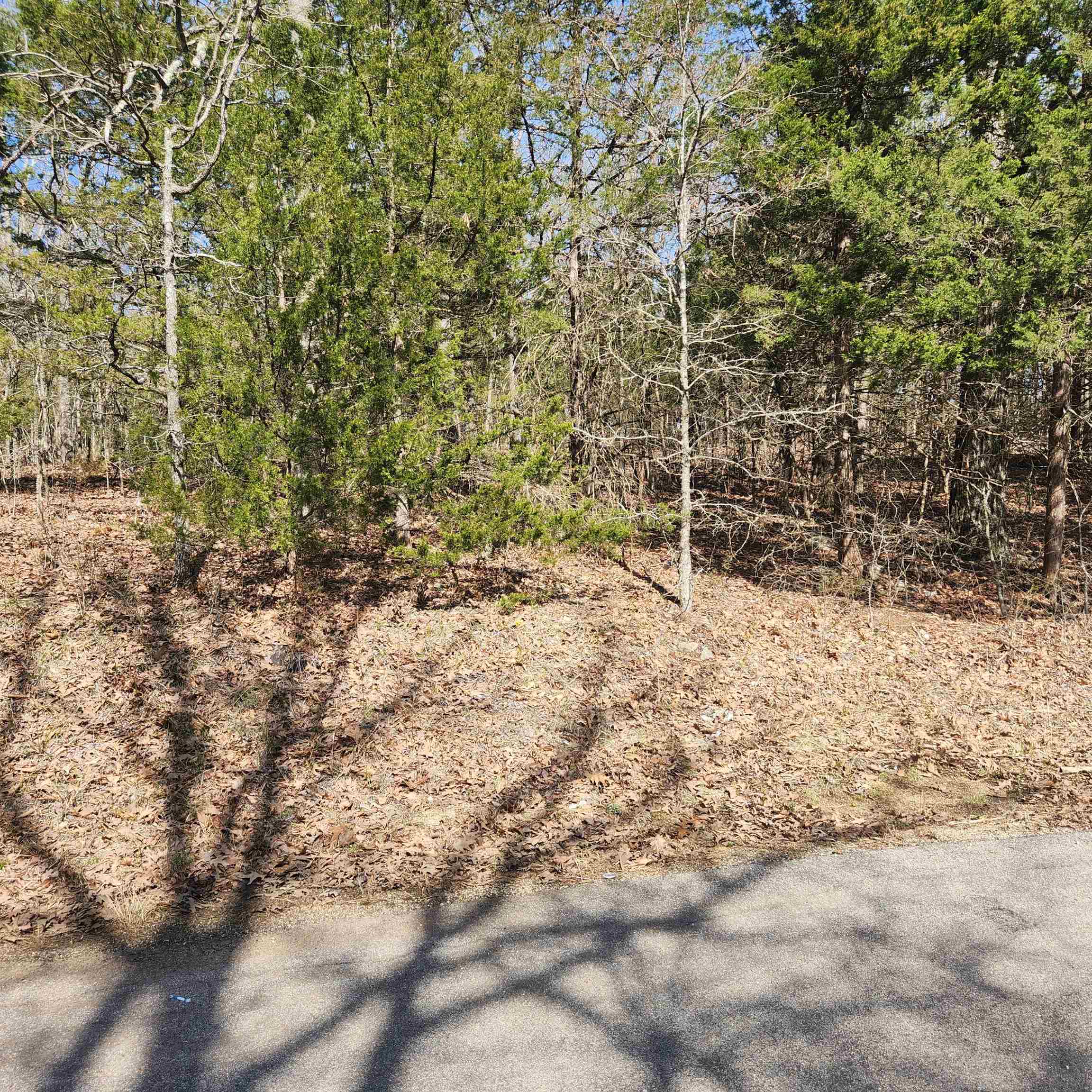 L-10, B-17 Hiawatha  Cherokee Village, AR