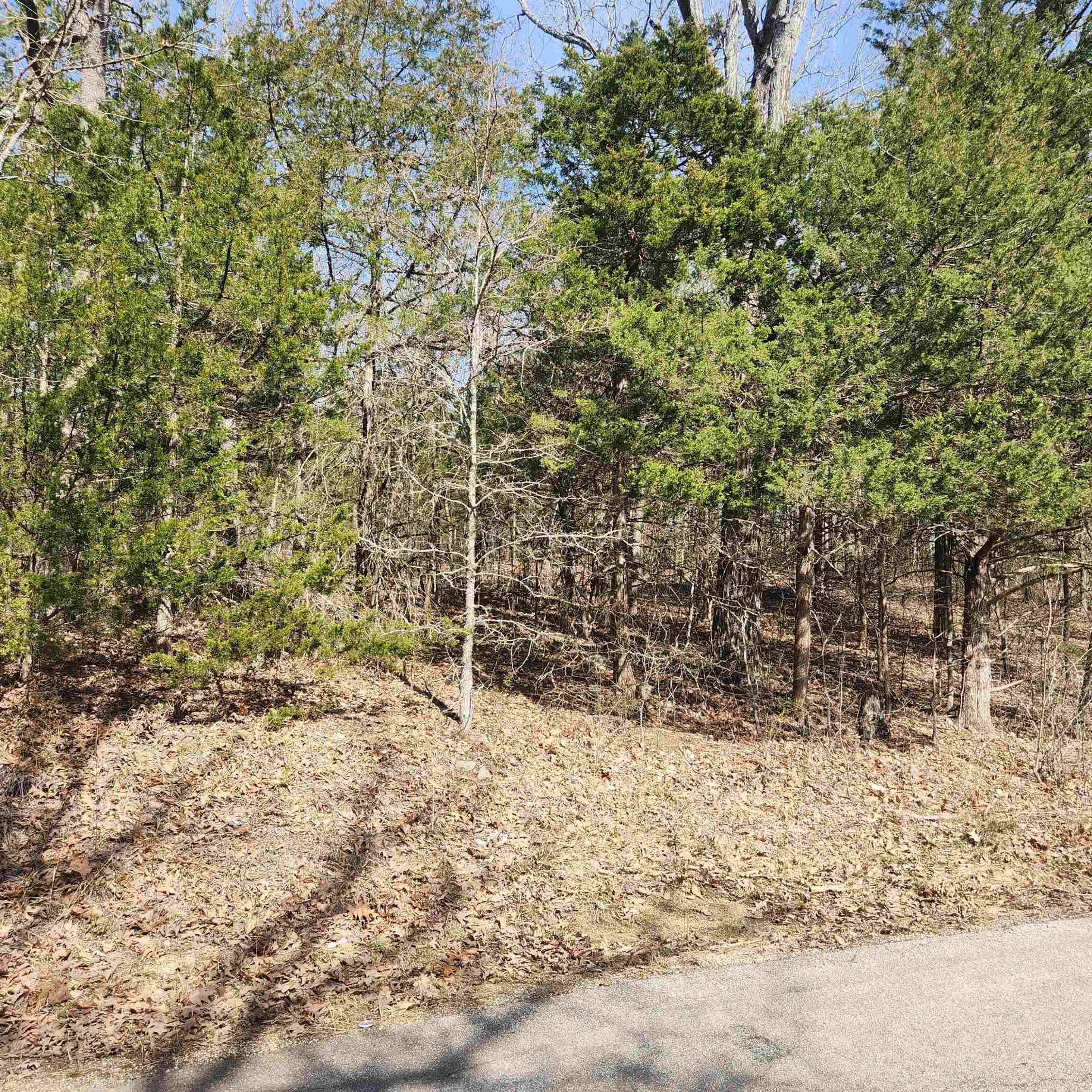 L-10, B-17 Hiawatha  Cherokee Village, AR