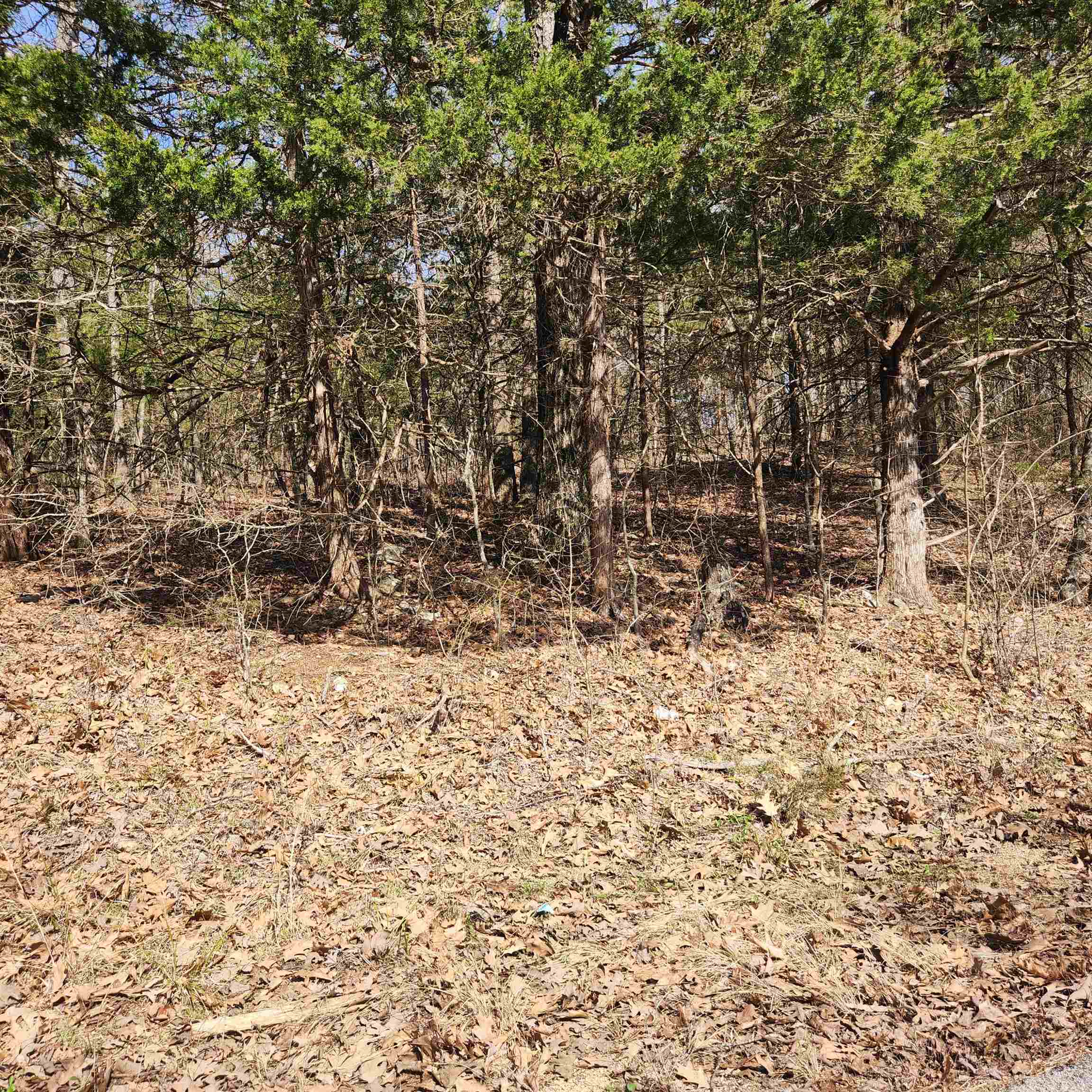 L-10, B-17 Hiawatha  Cherokee Village, AR