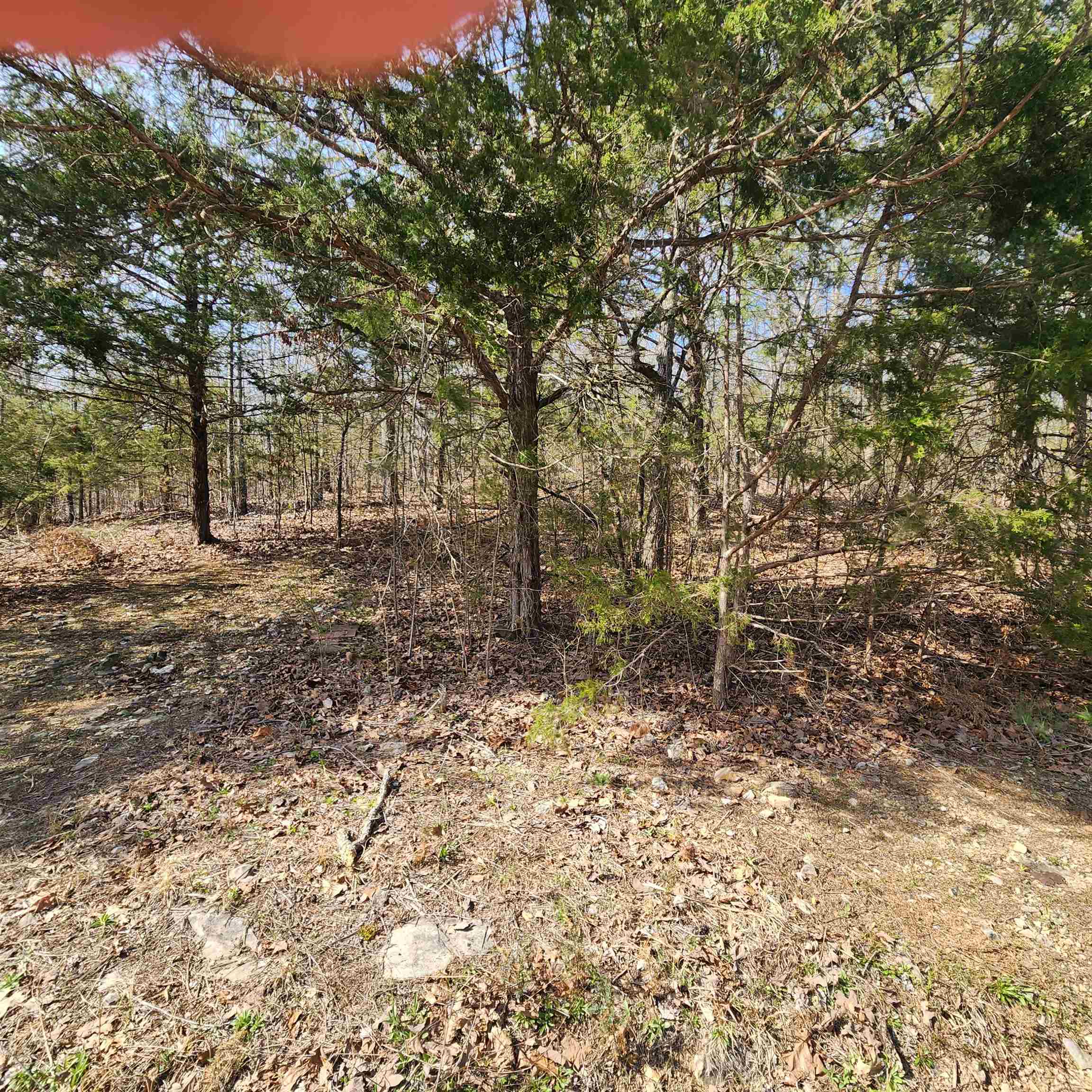 L-63, B-19 E Lakeshore  Cherokee Village, AR