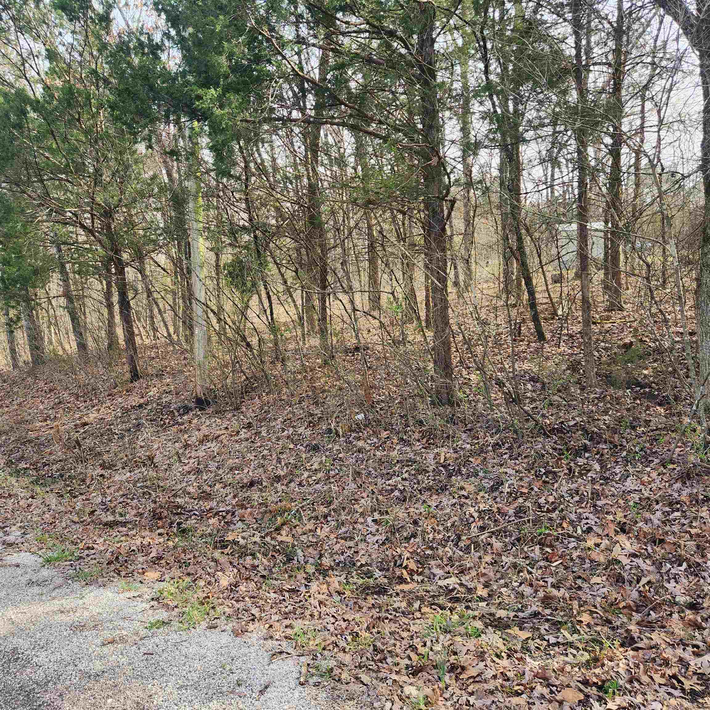 L-9, B-25 Yancopin  Cherokee Village, AR