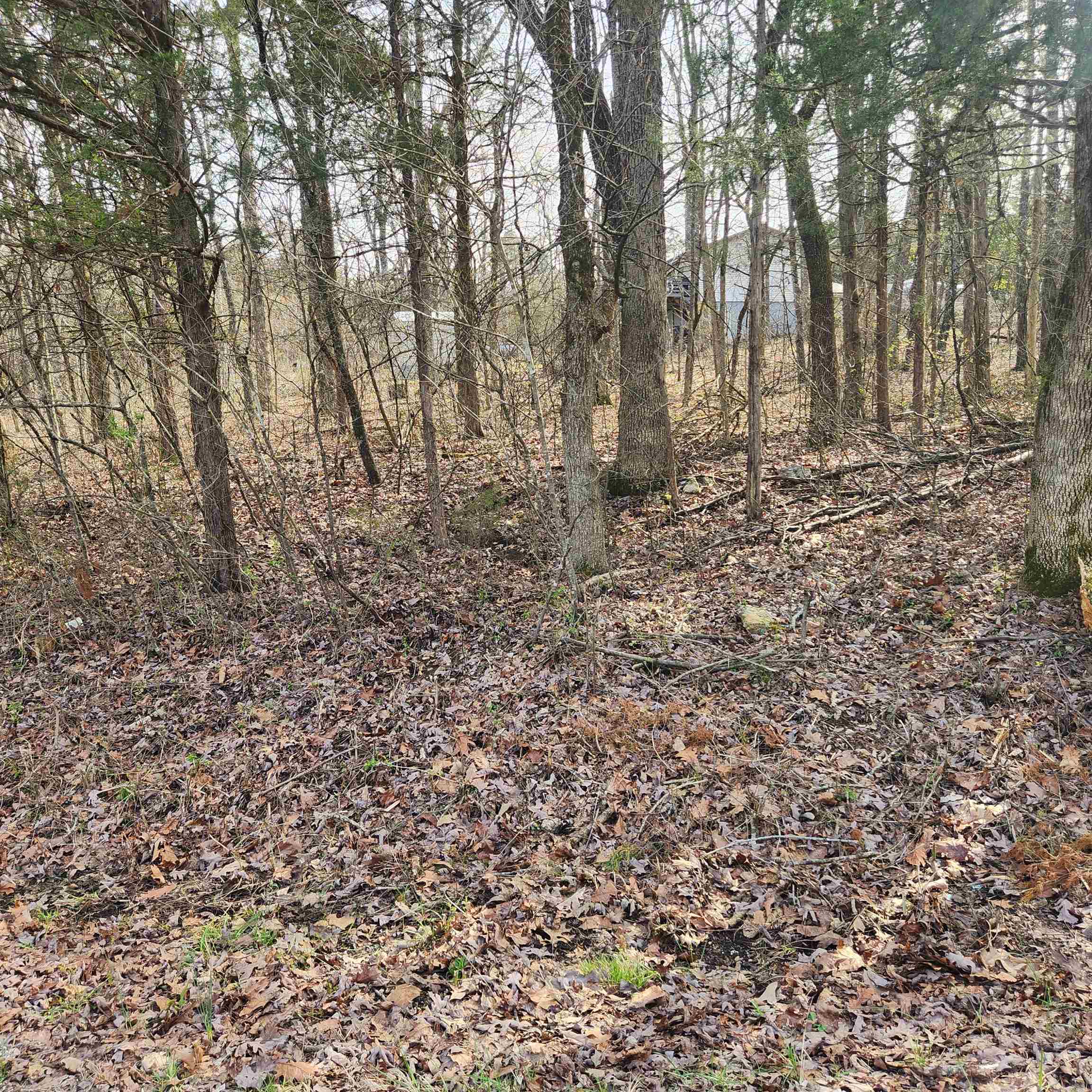 L-9, B-25 Yancopin  Cherokee Village, AR