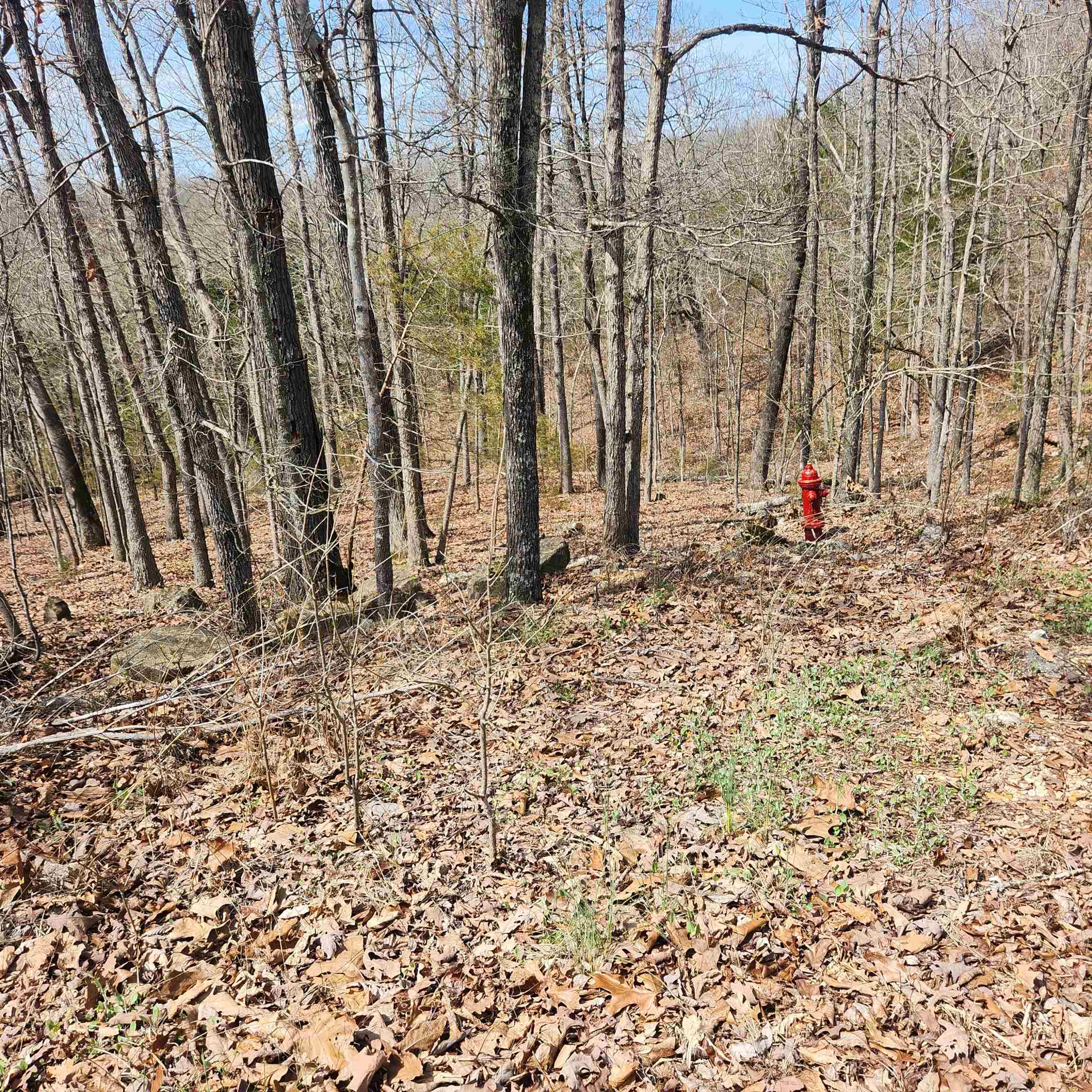 L-6, B11 Flathead  Cherokee Village, AR