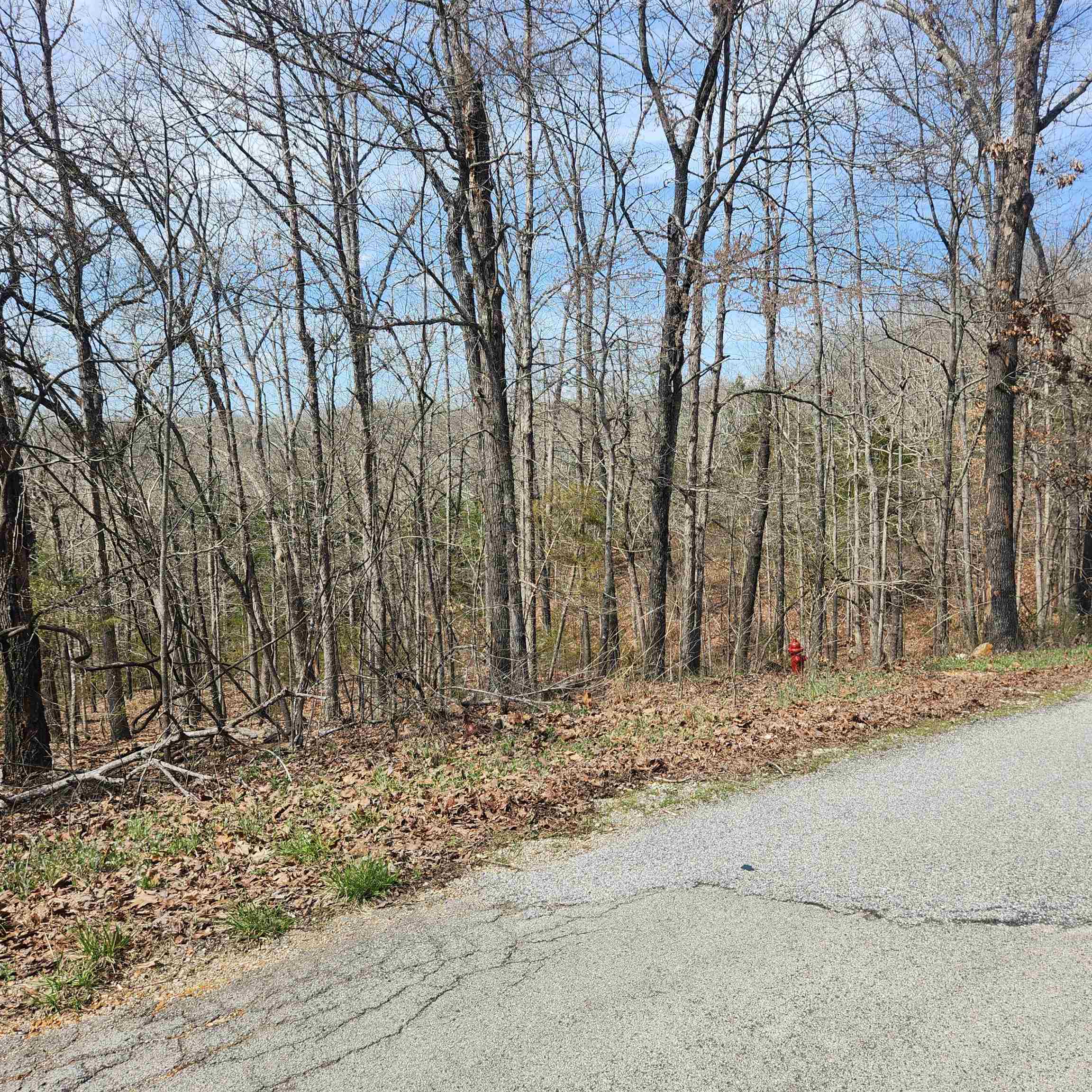 L-6, B11 Flathead  Cherokee Village, AR