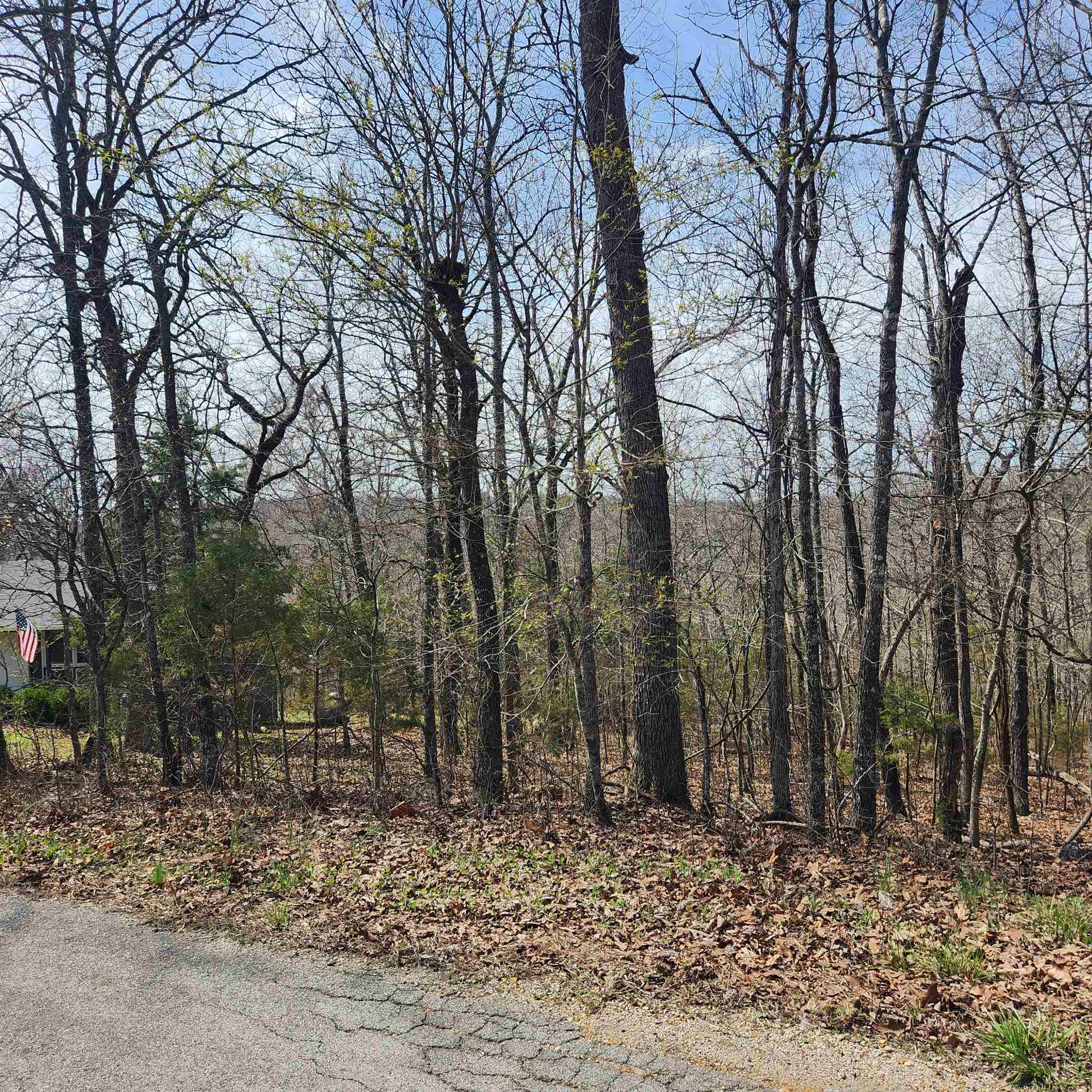 L-6, B11 Flathead  Cherokee Village, AR