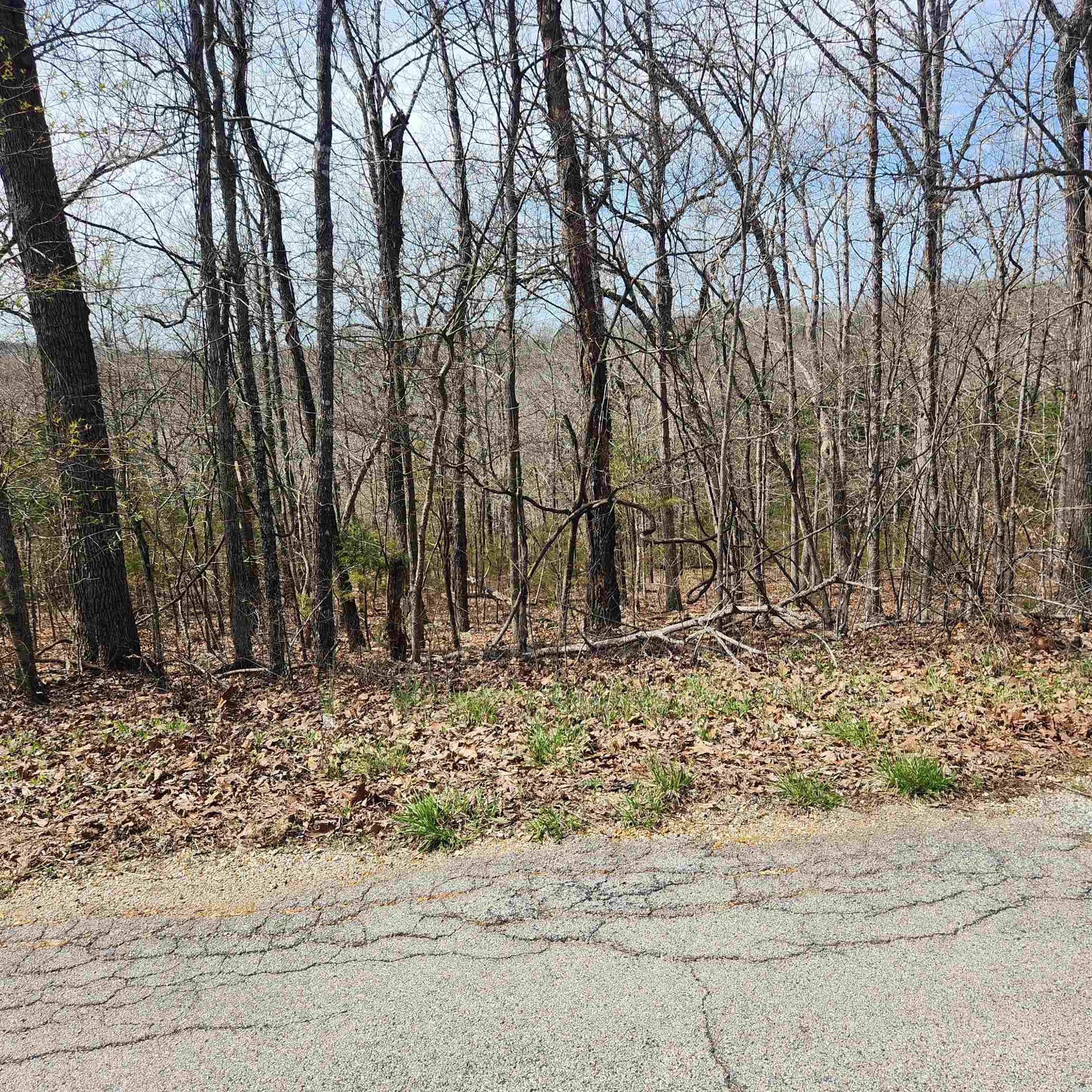 L-6, B11 Flathead  Cherokee Village, AR