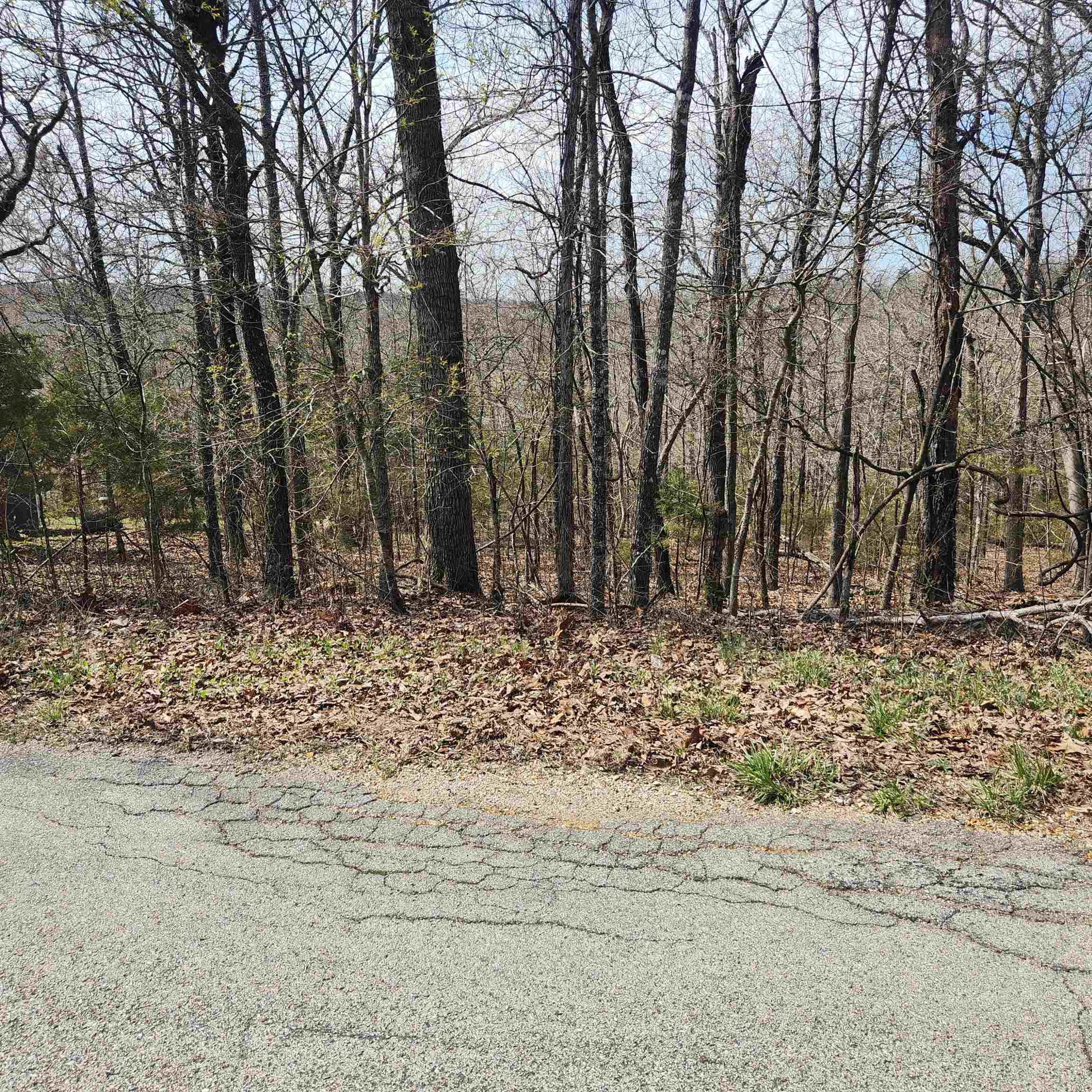 L-6, B11 Flathead  Cherokee Village, AR