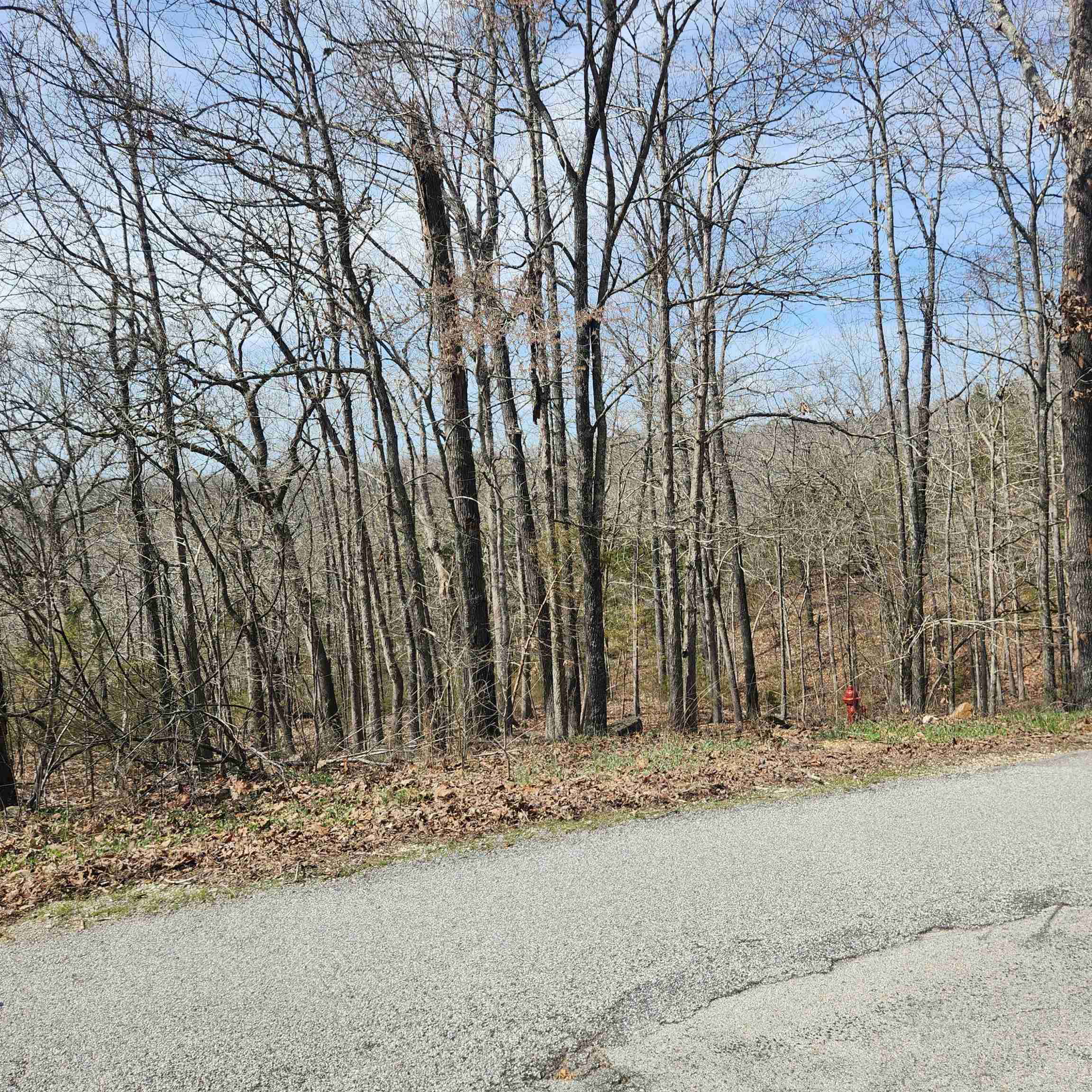 L-6, B11 Flathead  Cherokee Village, AR