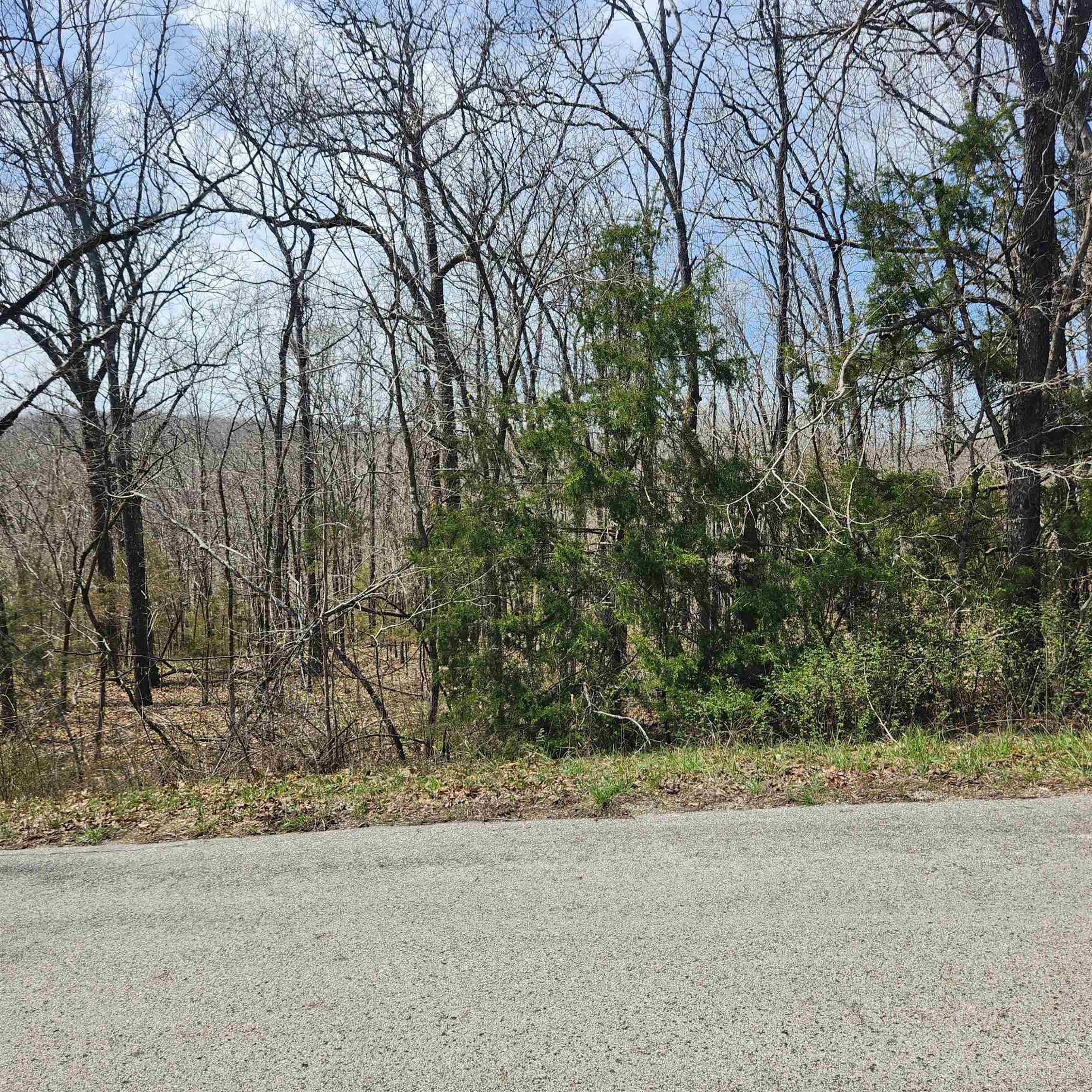 L-2 B-11 Flathead  Cherokee Village, AR