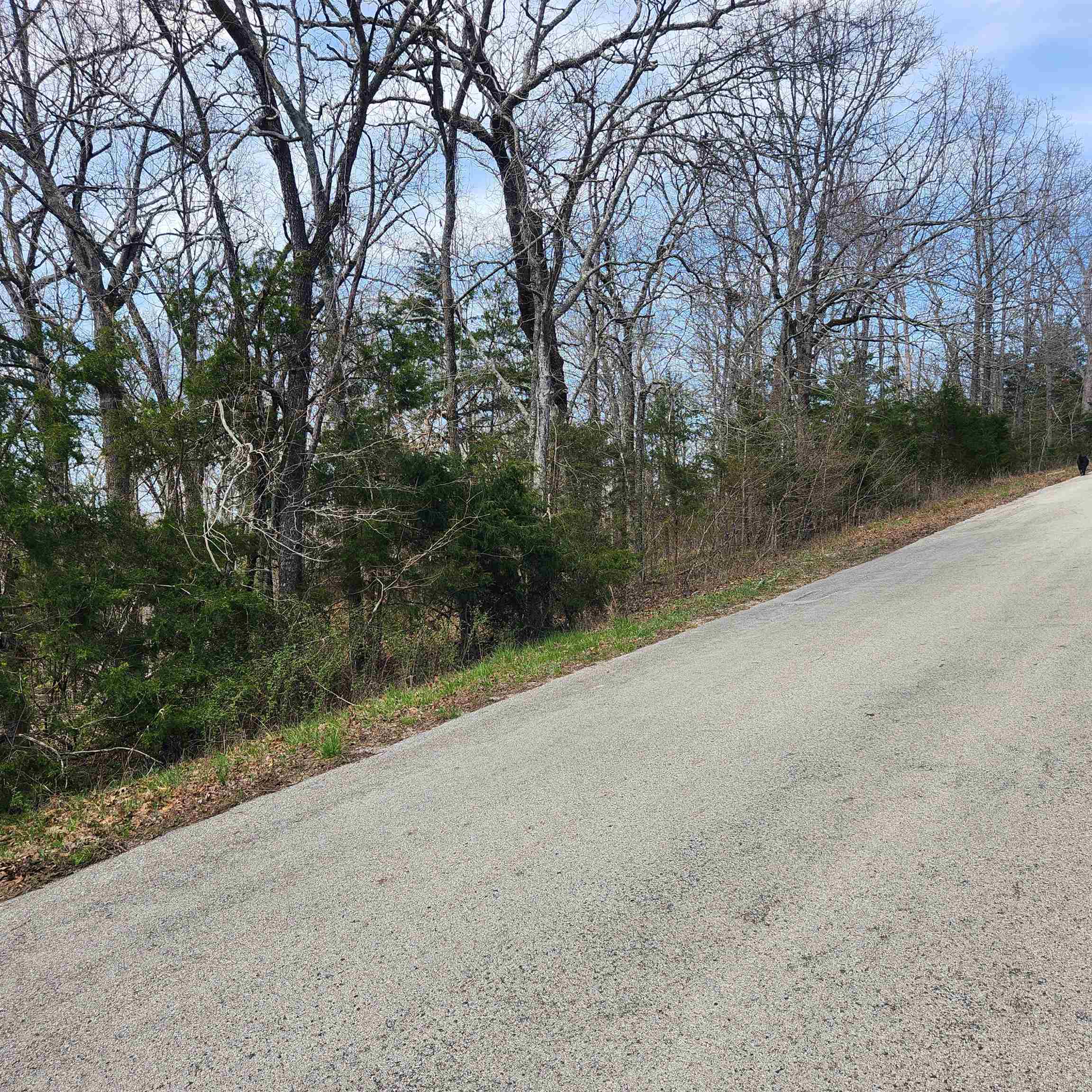 L-2 B-11 Flathead  Cherokee Village, AR