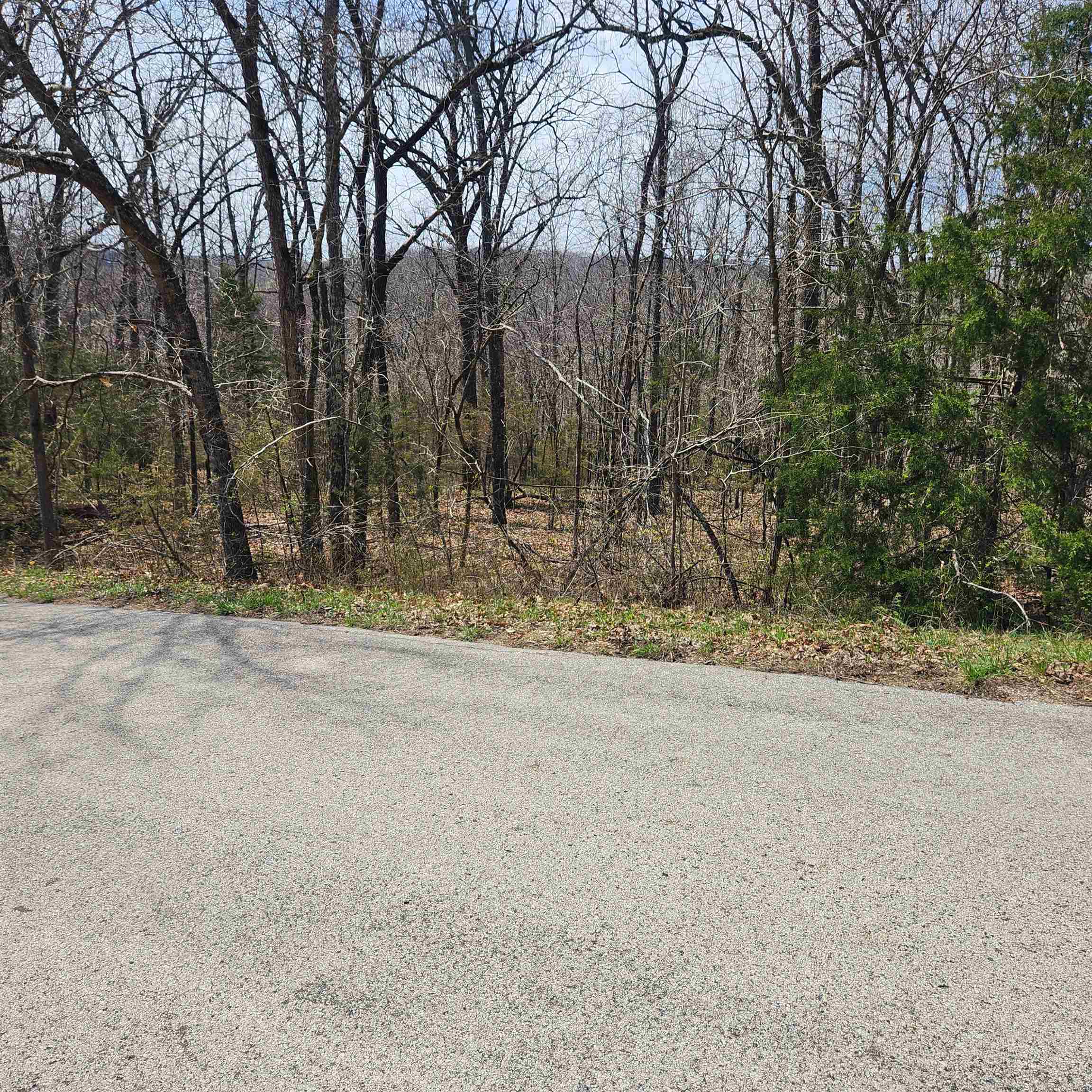 L-2 B-11 Flathead  Cherokee Village, AR