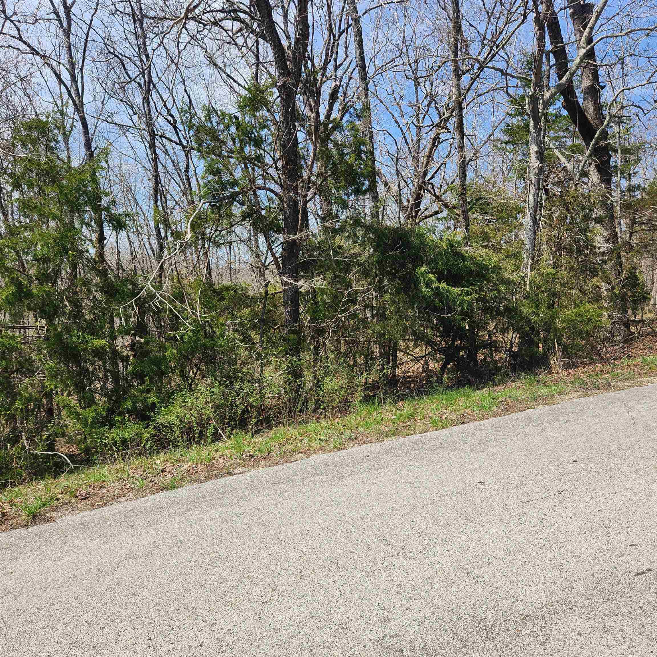 L-2 B-11 Flathead  Cherokee Village, AR