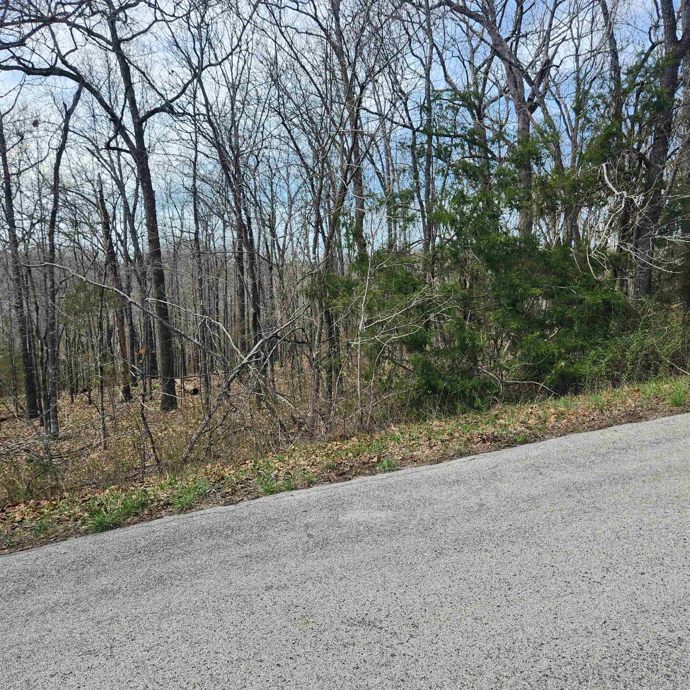 L-2 B-11 Flathead  Cherokee Village, AR