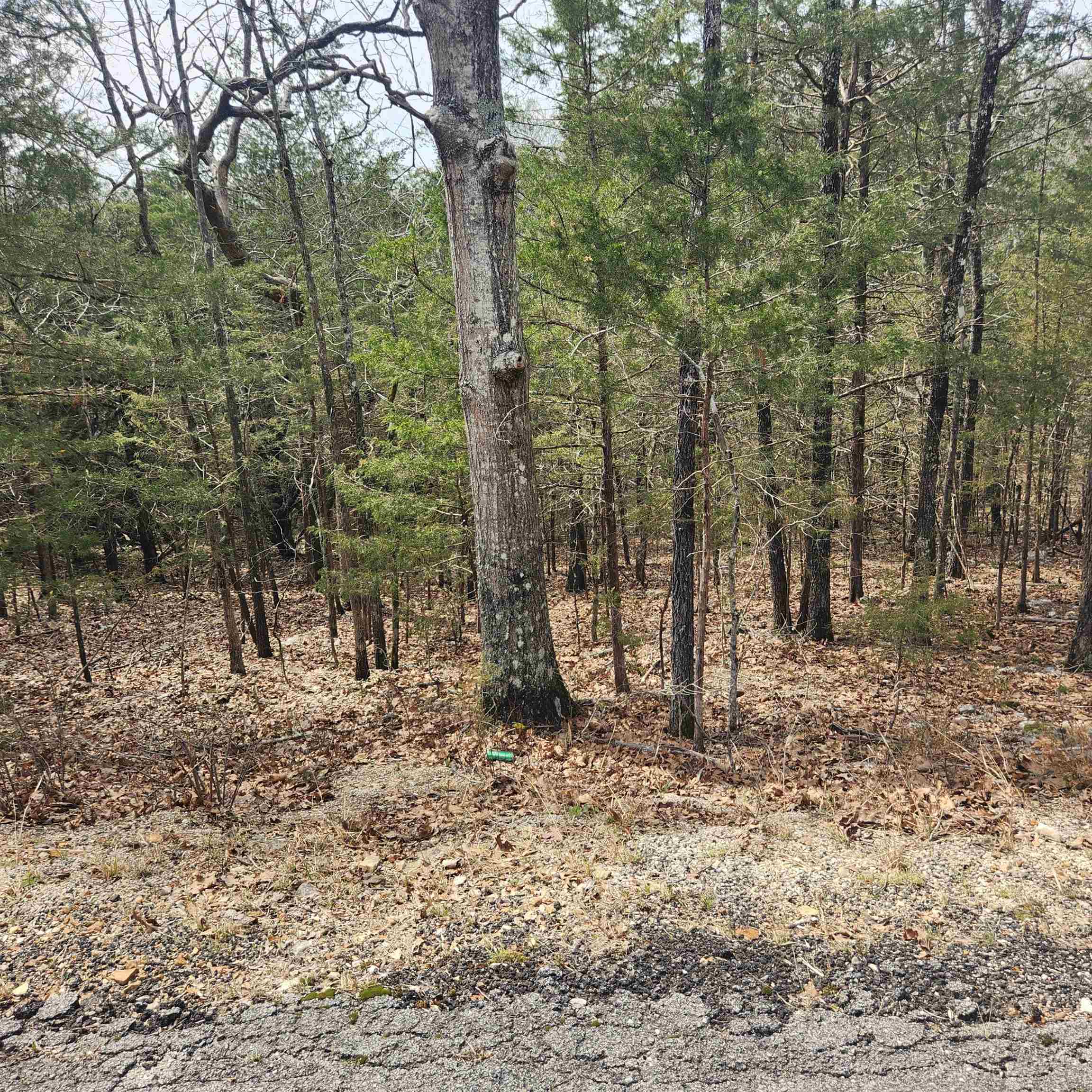 L6, B12 Cochise  Cherokee Village, AR