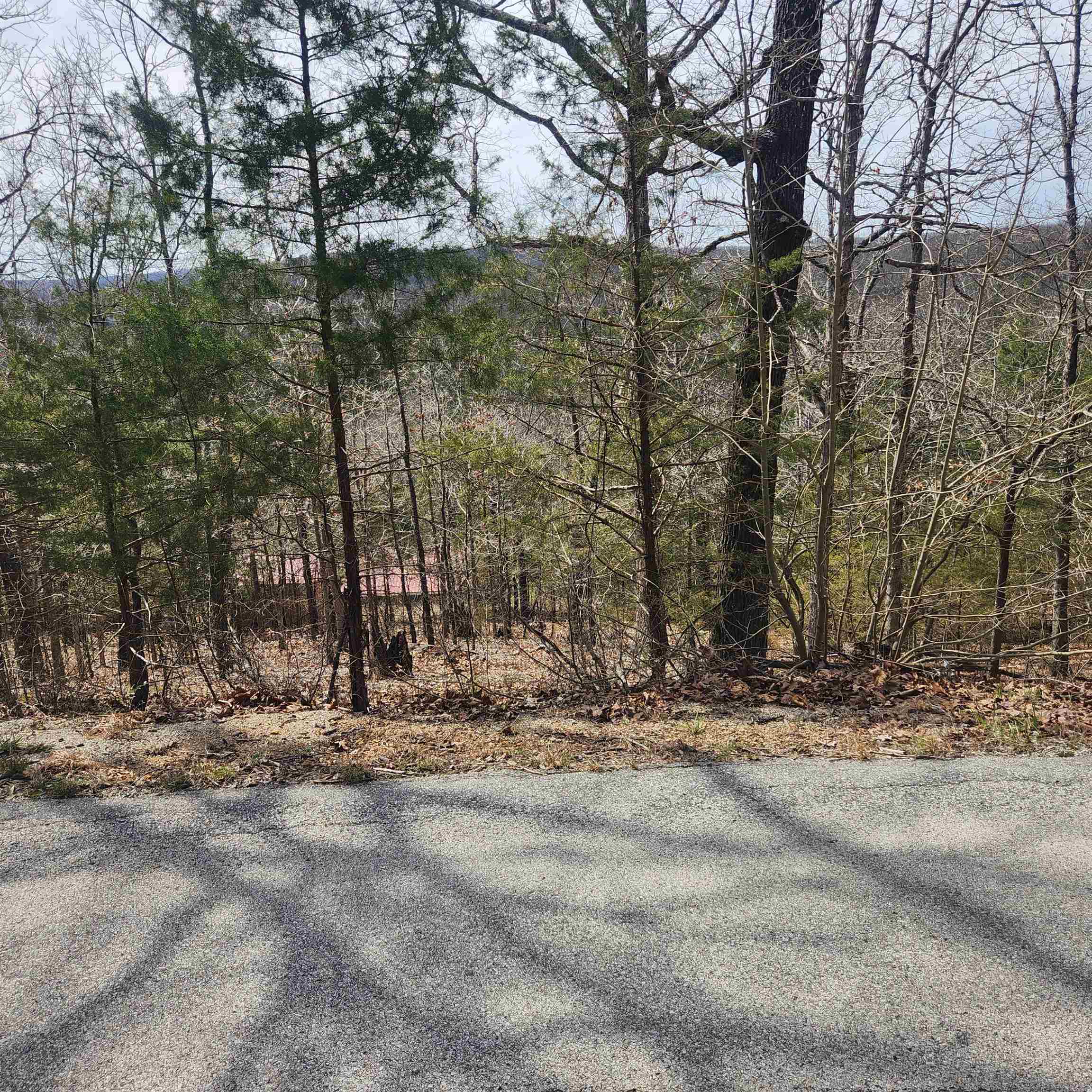 L-13, B11 Flathead  Cherokee Village, AR