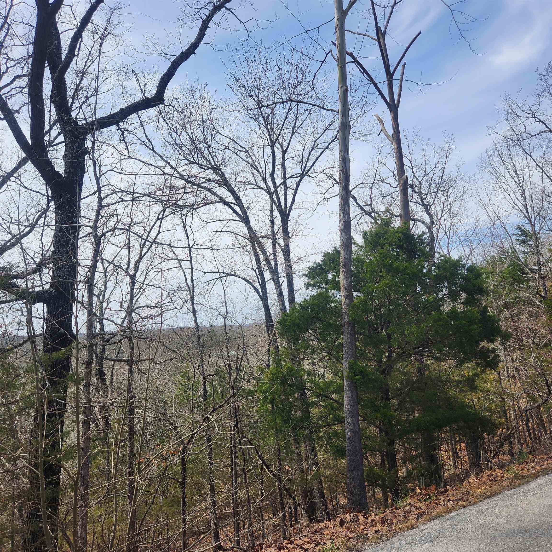 L-13, B11 Flathead  Cherokee Village, AR