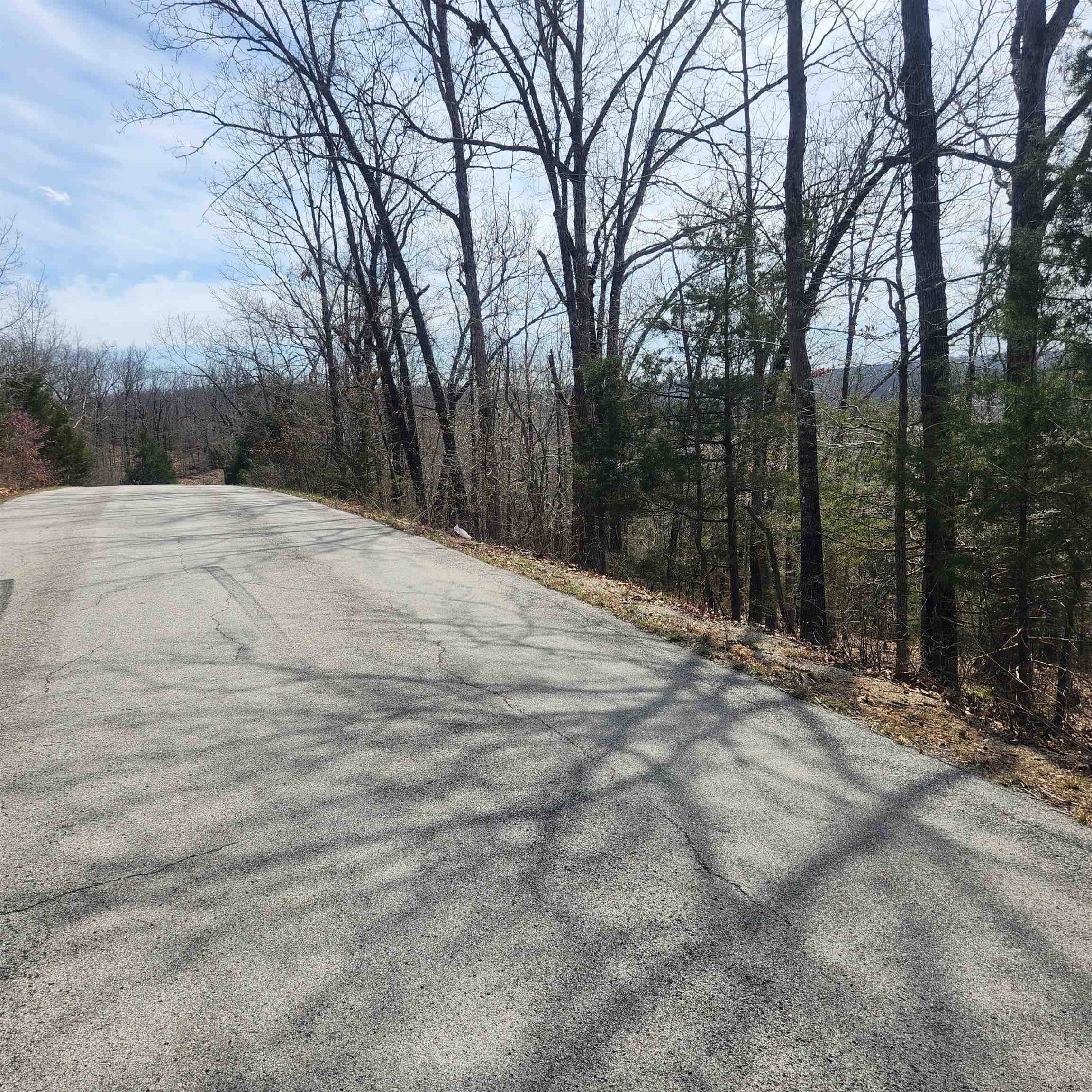 L-13, B11 Flathead  Cherokee Village, AR