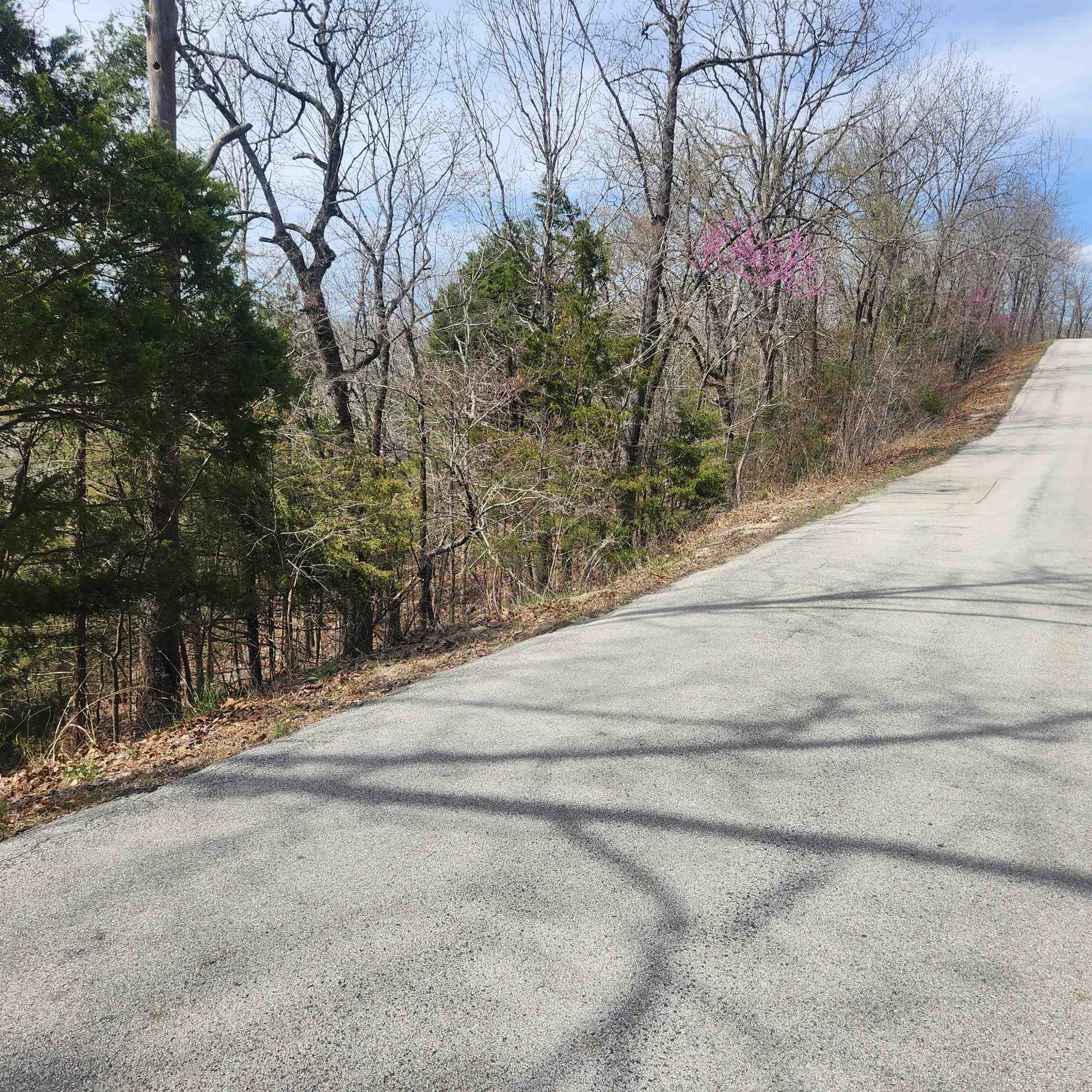 L-13, B11 Flathead  Cherokee Village, AR