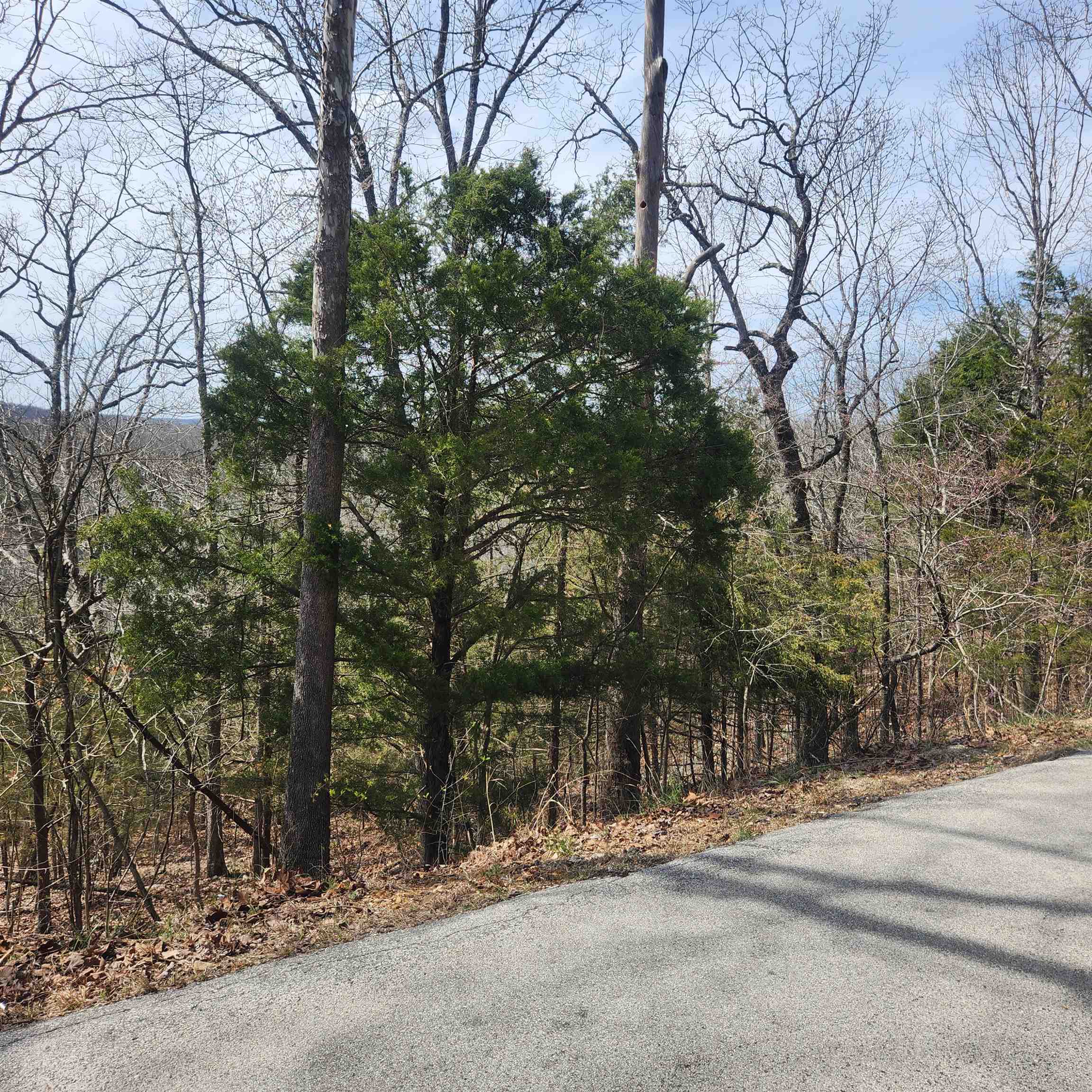 L-13, B11 Flathead  Cherokee Village, AR