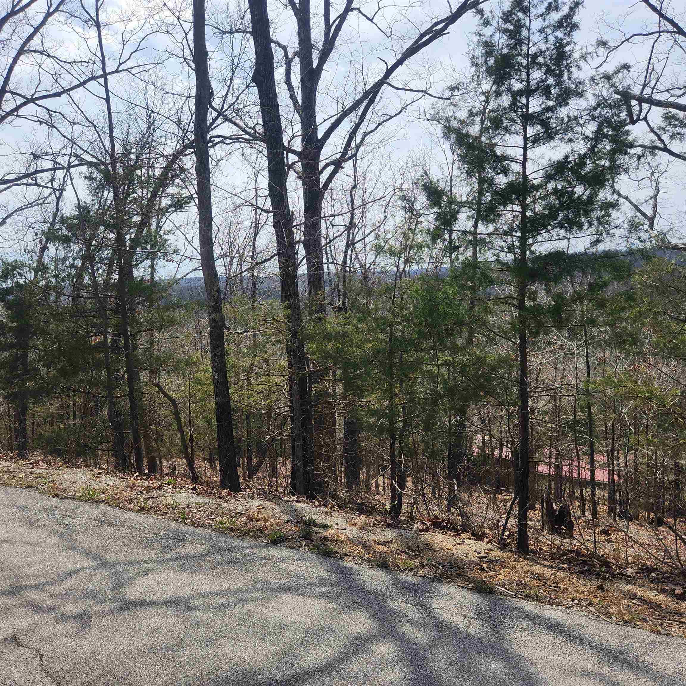 L-13, B11 Flathead  Cherokee Village, AR