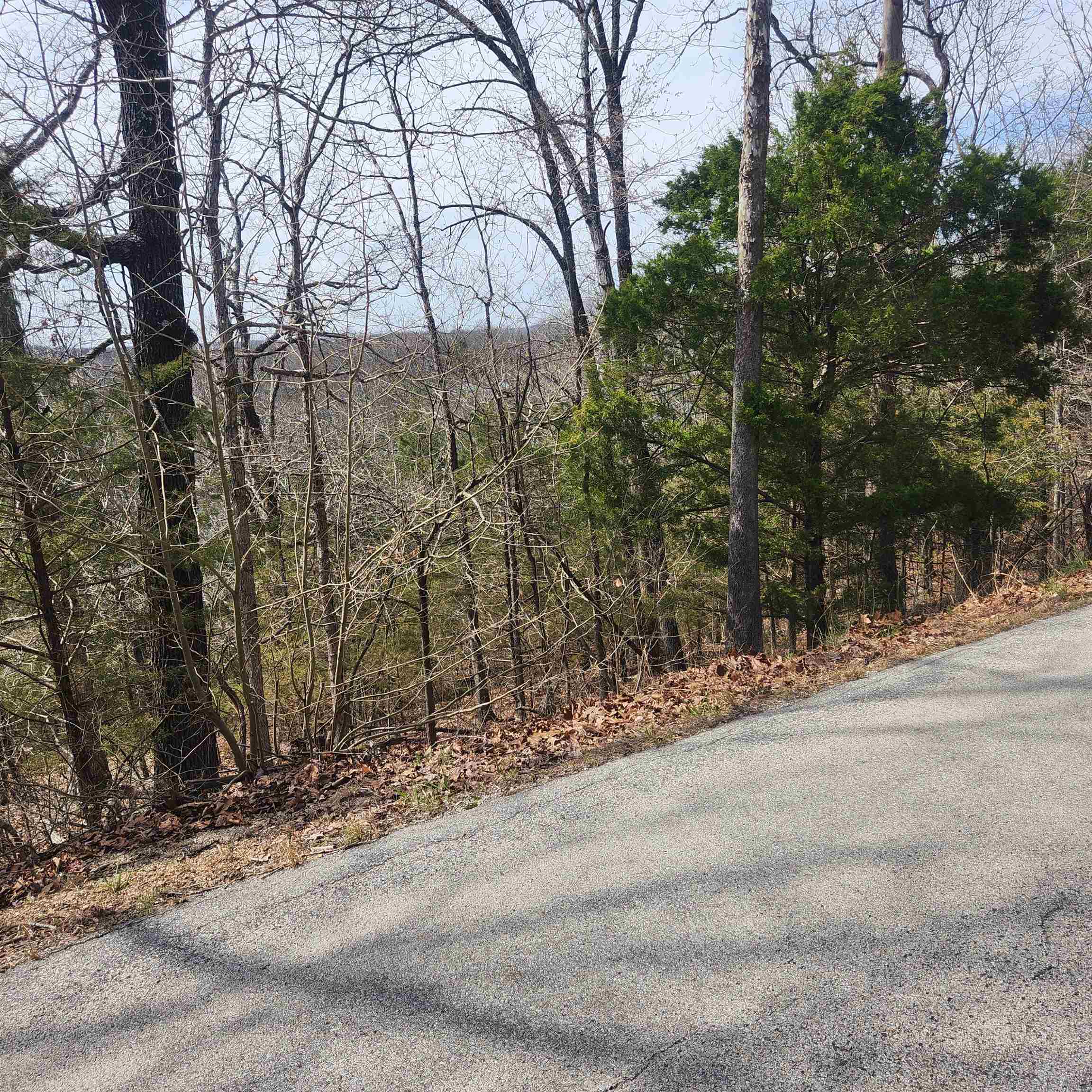 L-13, B11 Flathead  Cherokee Village, AR