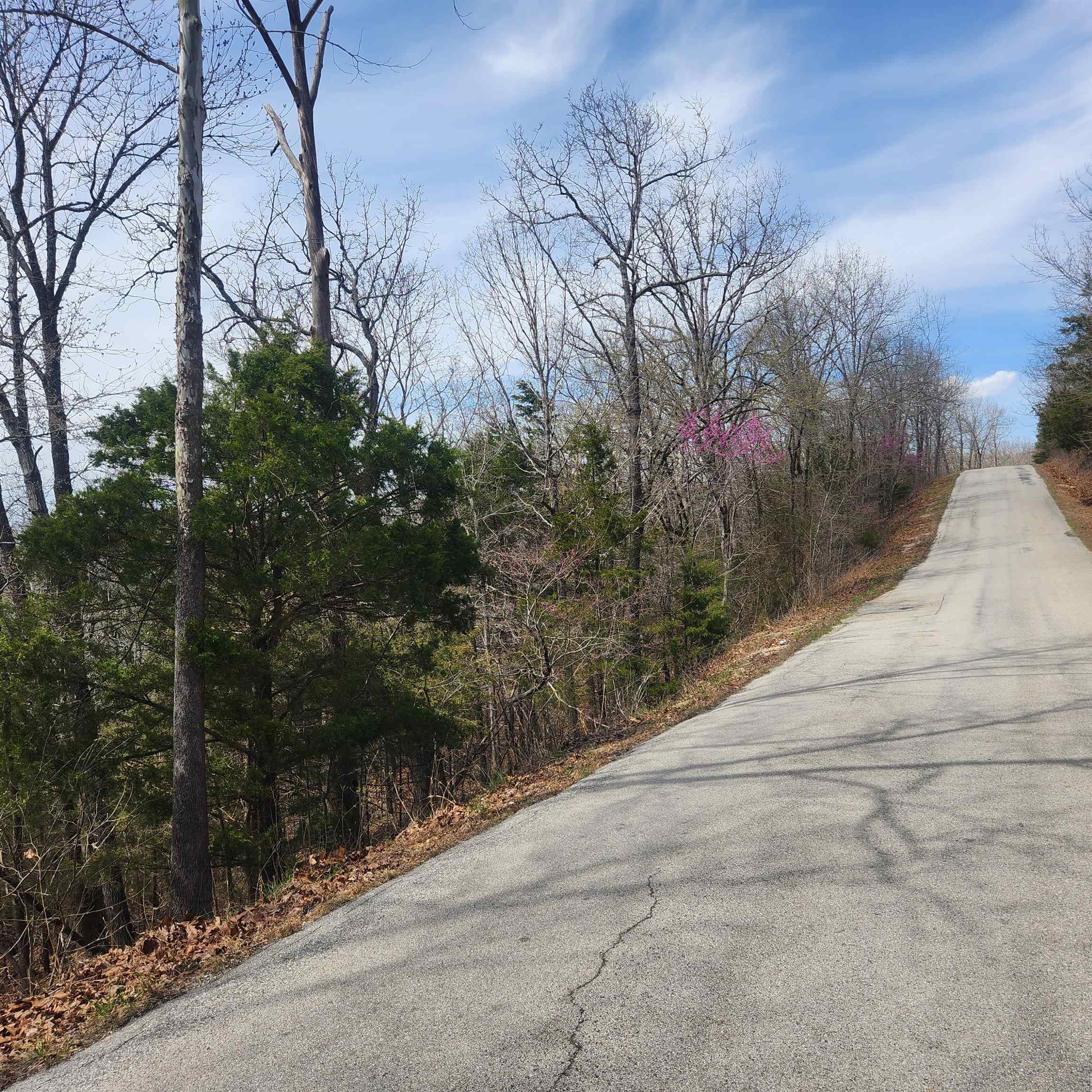 L-13, B11 Flathead  Cherokee Village, AR