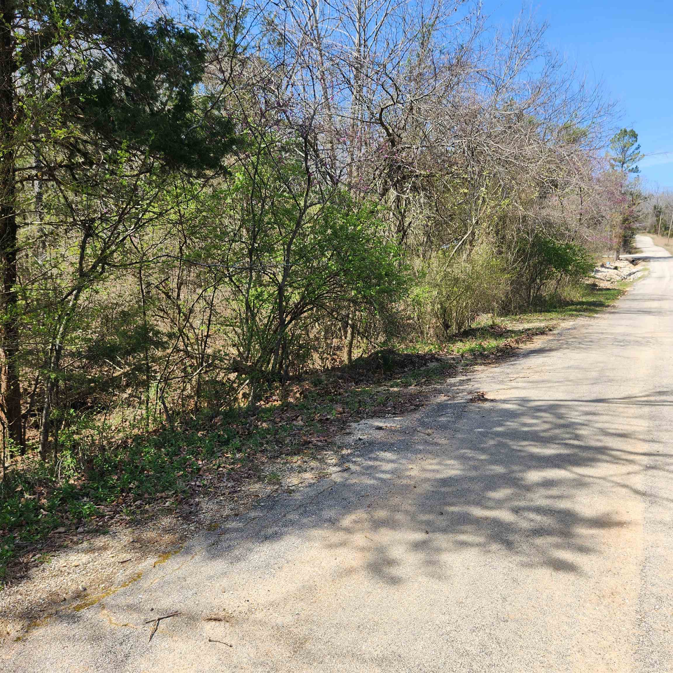 L 19 B 9 Ouachita  Cherokee Village, AR