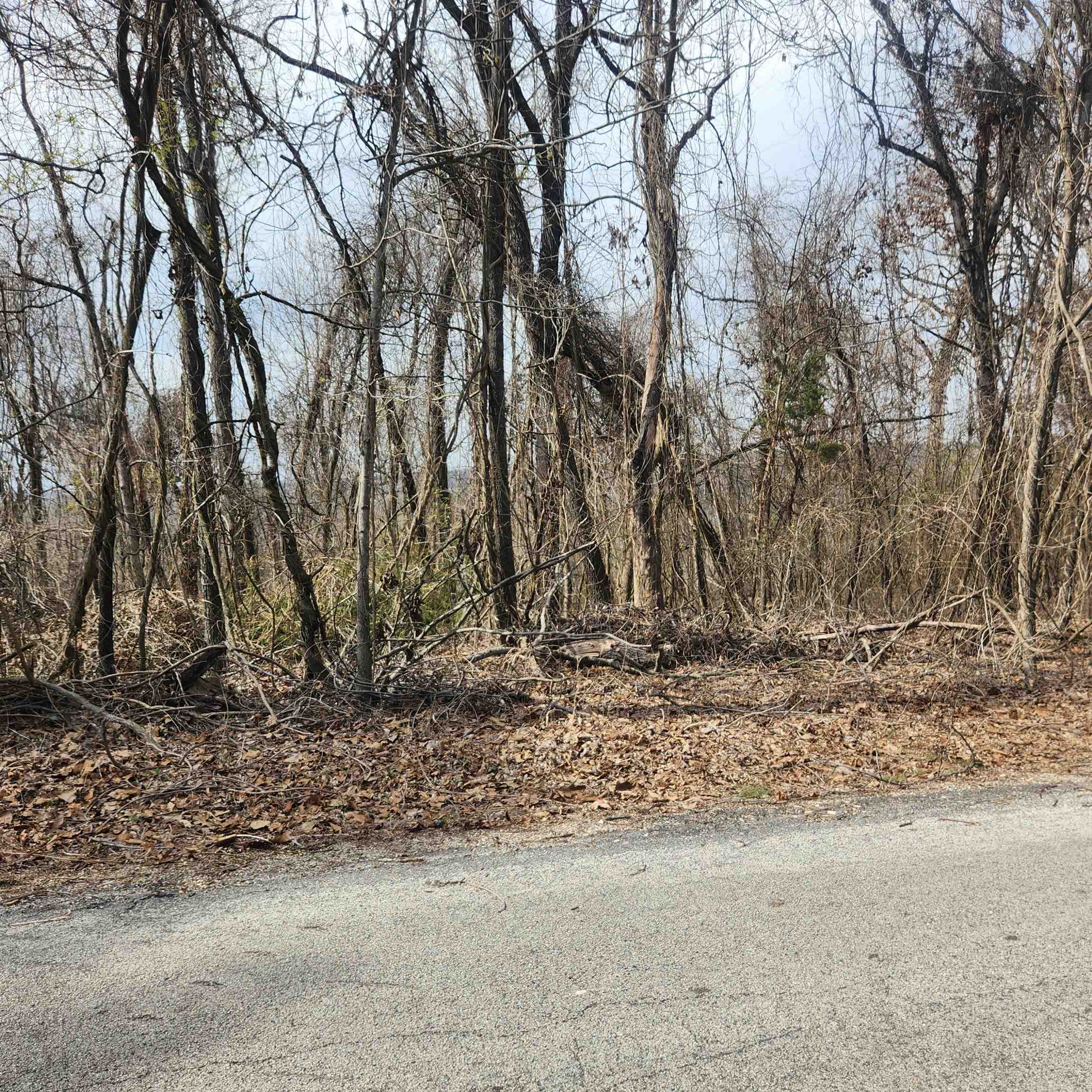 L-1, B-9 Hiawatha  Cherokee Village, AR