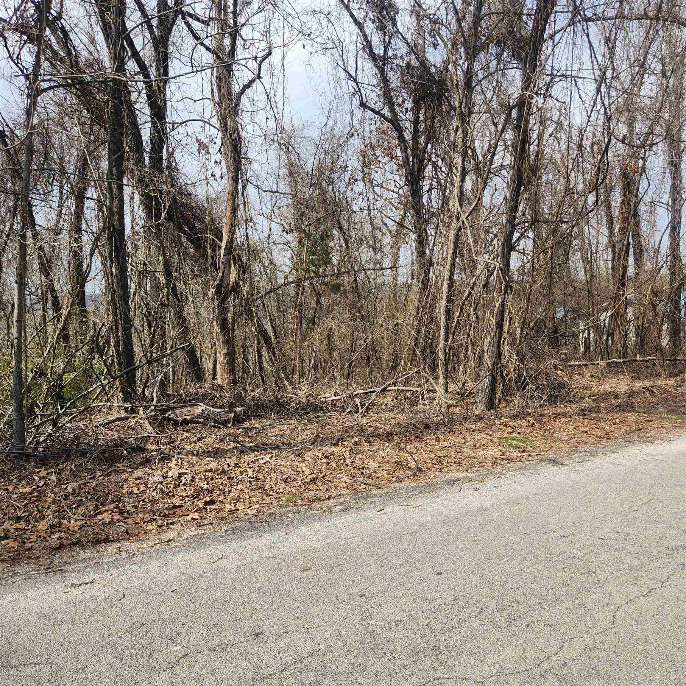 L-1, B-9 Hiawatha  Cherokee Village, AR