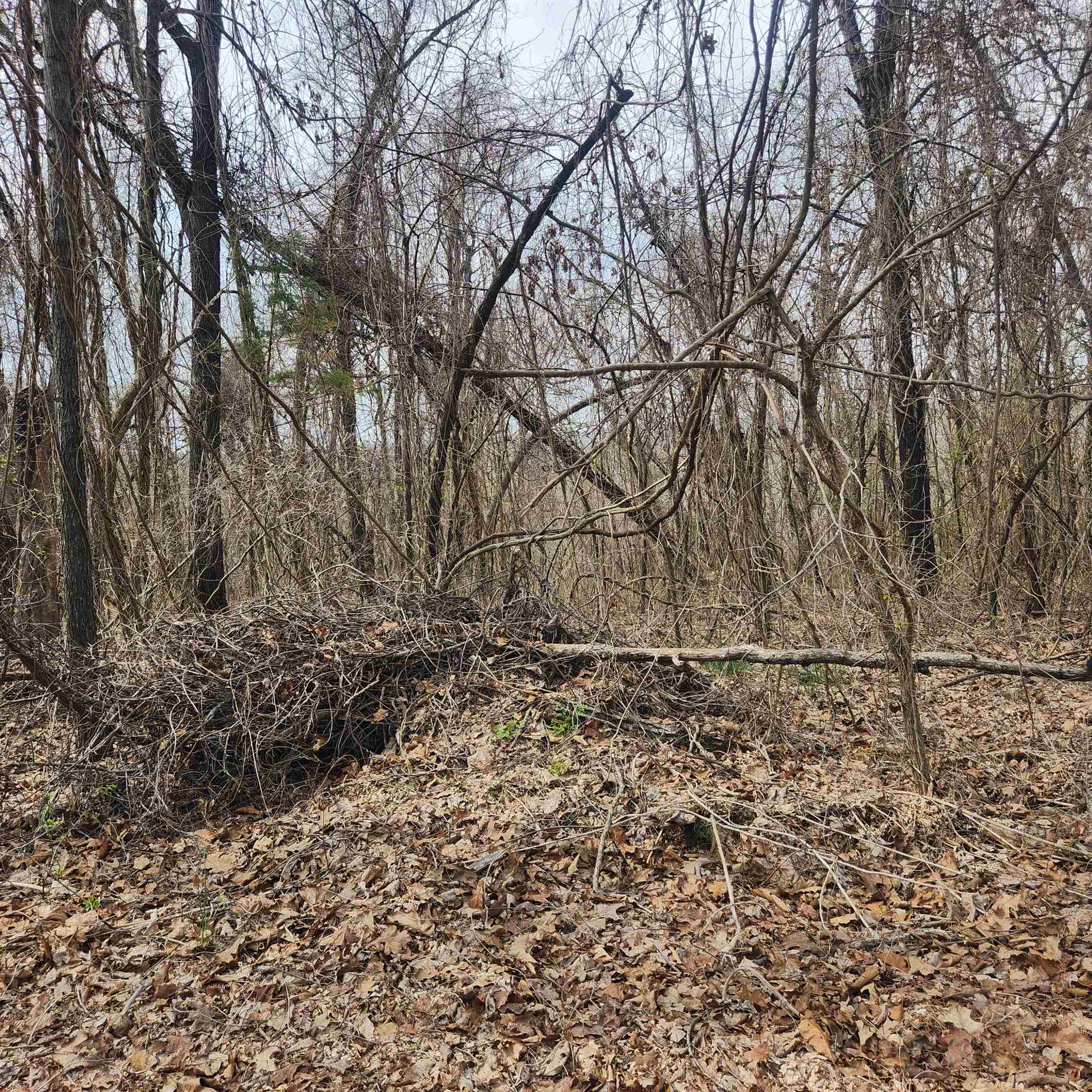 L-1, B-9 Hiawatha  Cherokee Village, AR