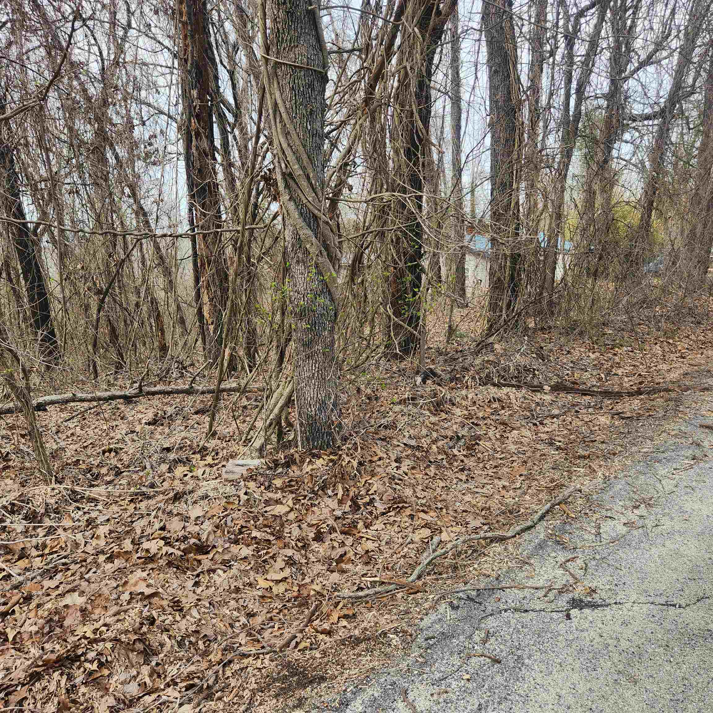 L-1, B-9 Hiawatha  Cherokee Village, AR