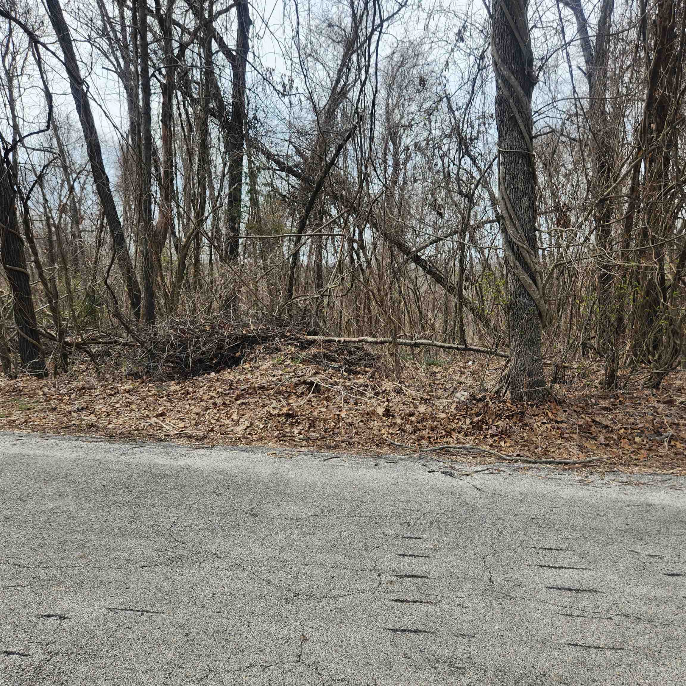 L-1, B-9 Hiawatha  Cherokee Village, AR