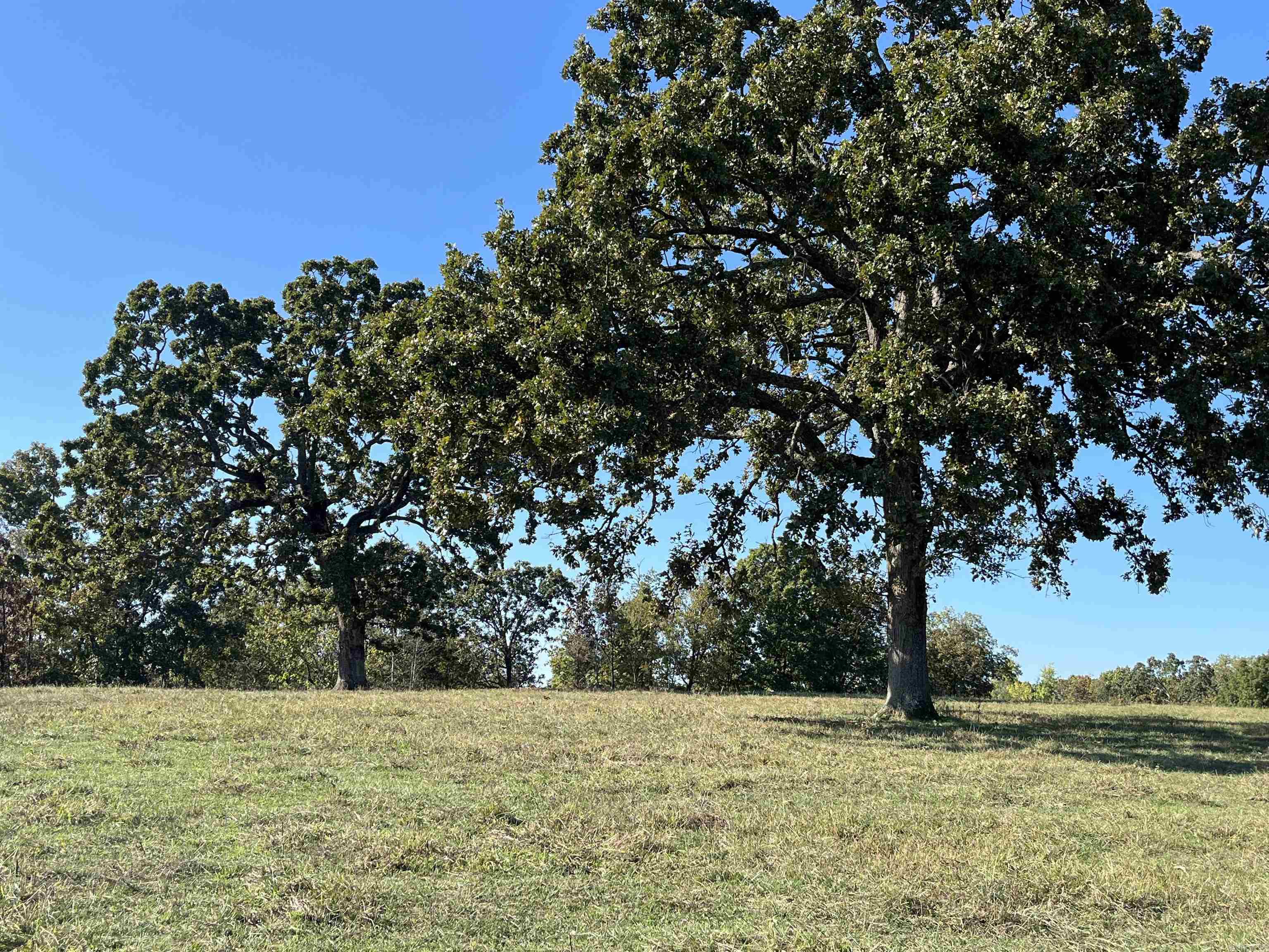 000 County Road 113  Alton, MO