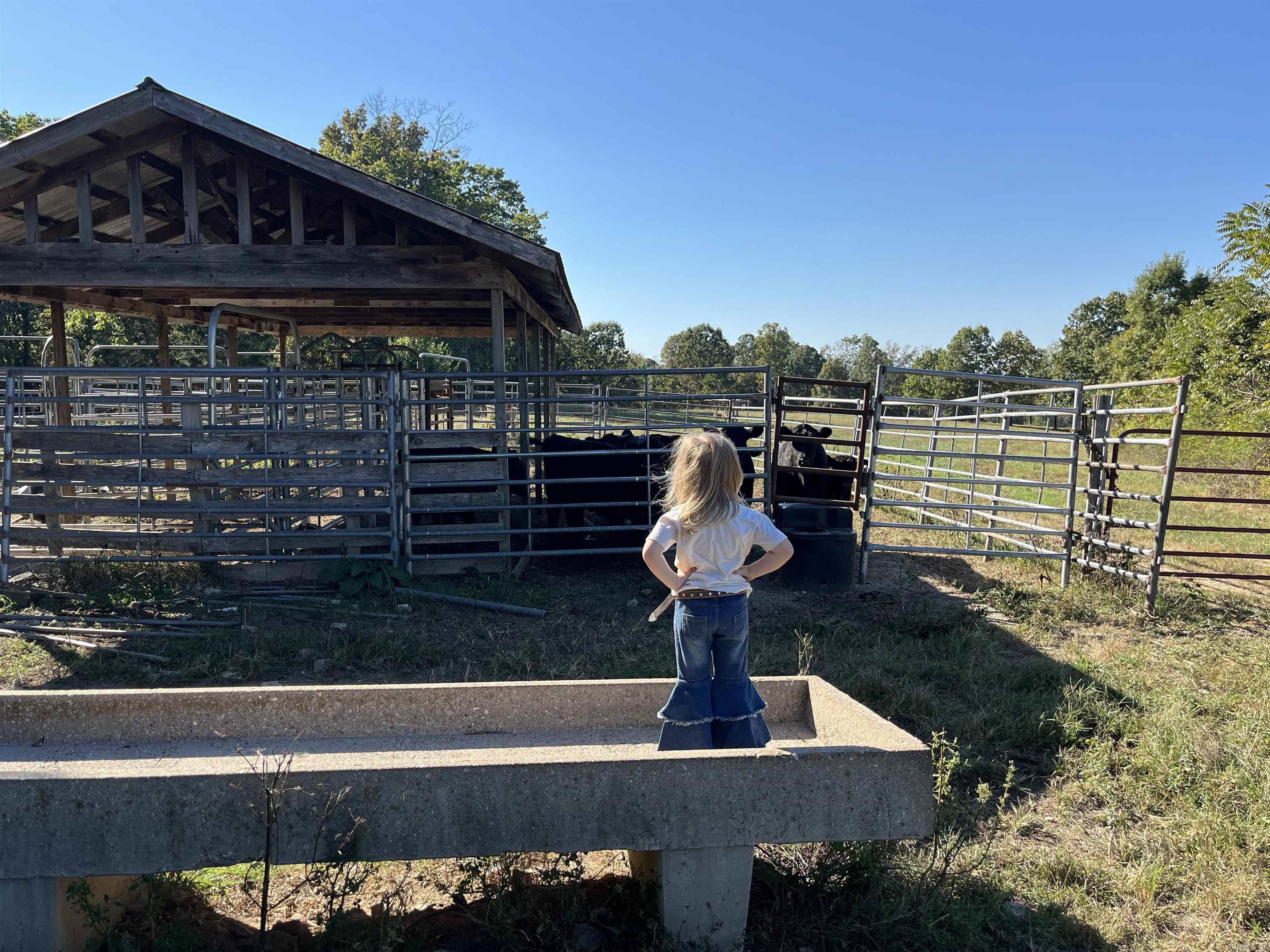 000 County Road 113  Alton, MO