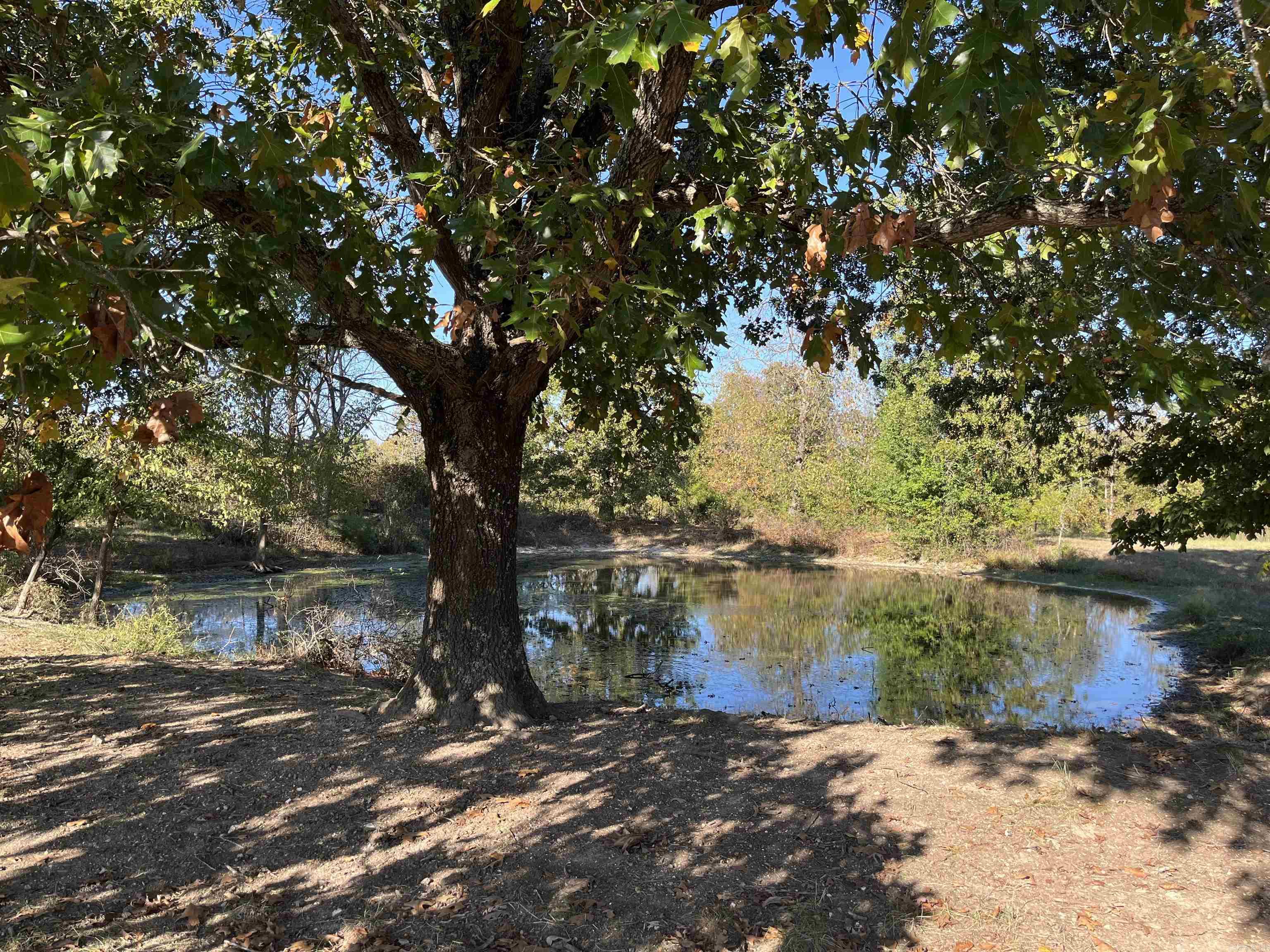 000 County Road 113  Alton, MO