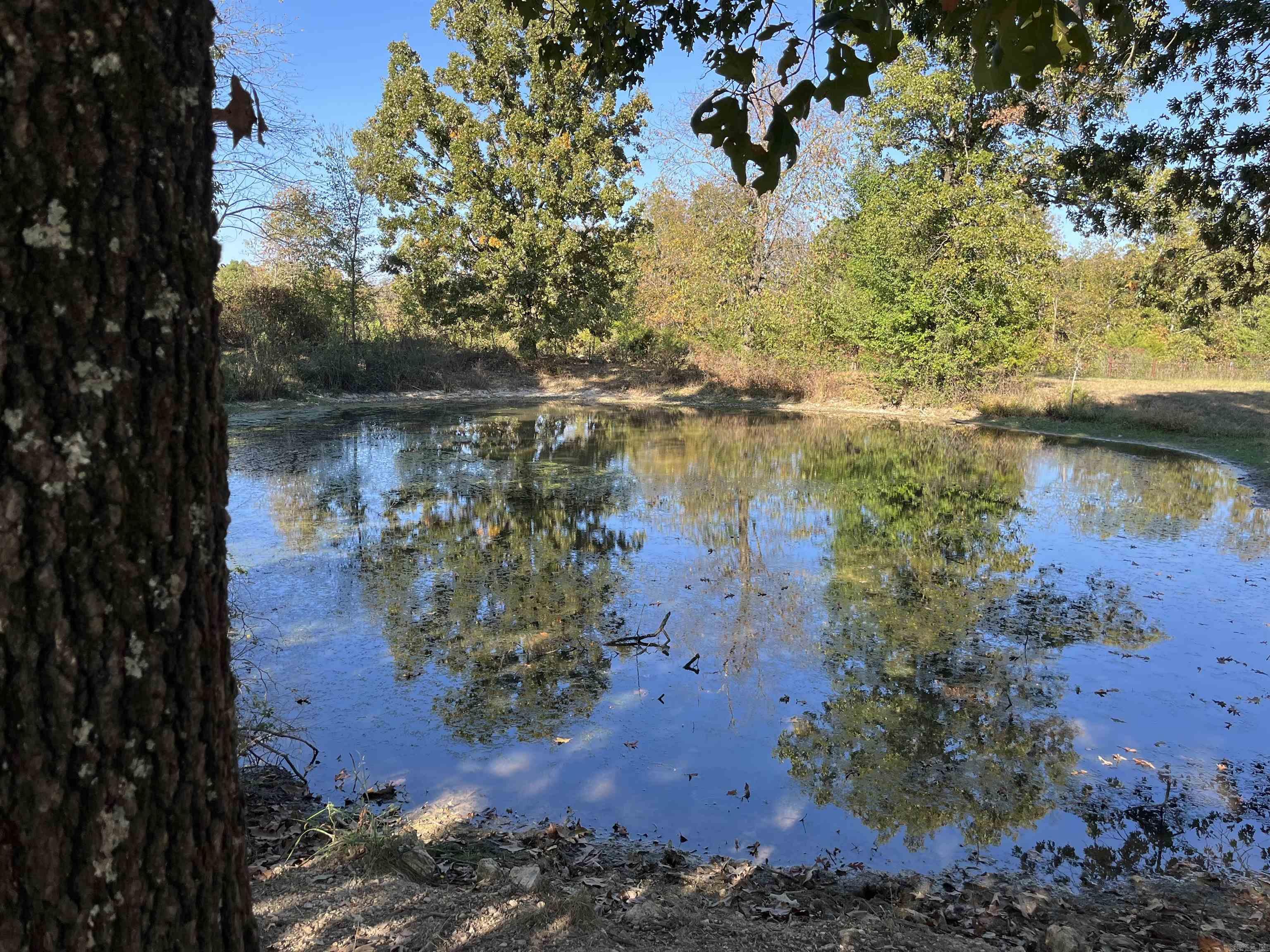 000 County Road 113  Alton, MO