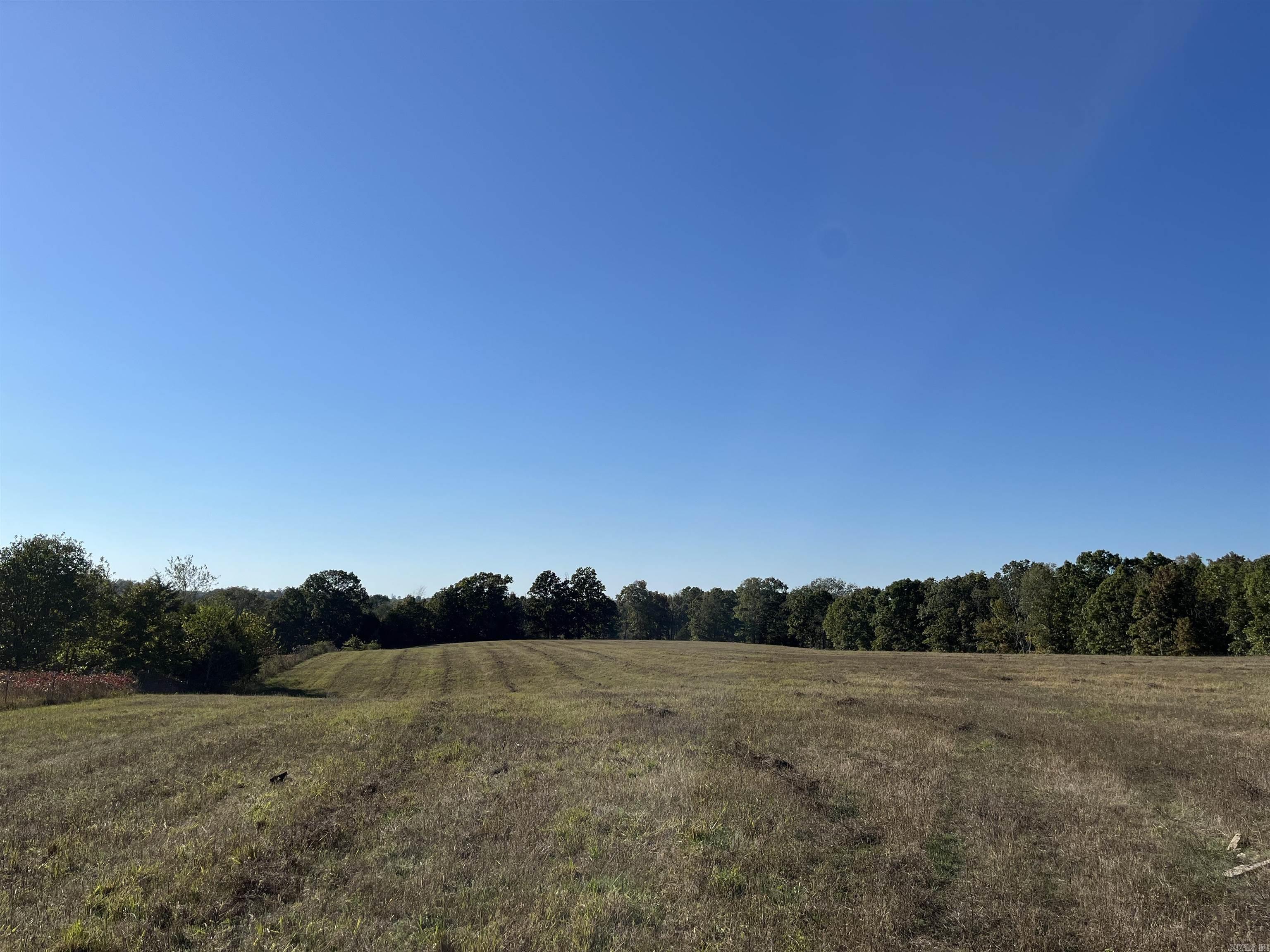 000 County Road 113  Alton, MO