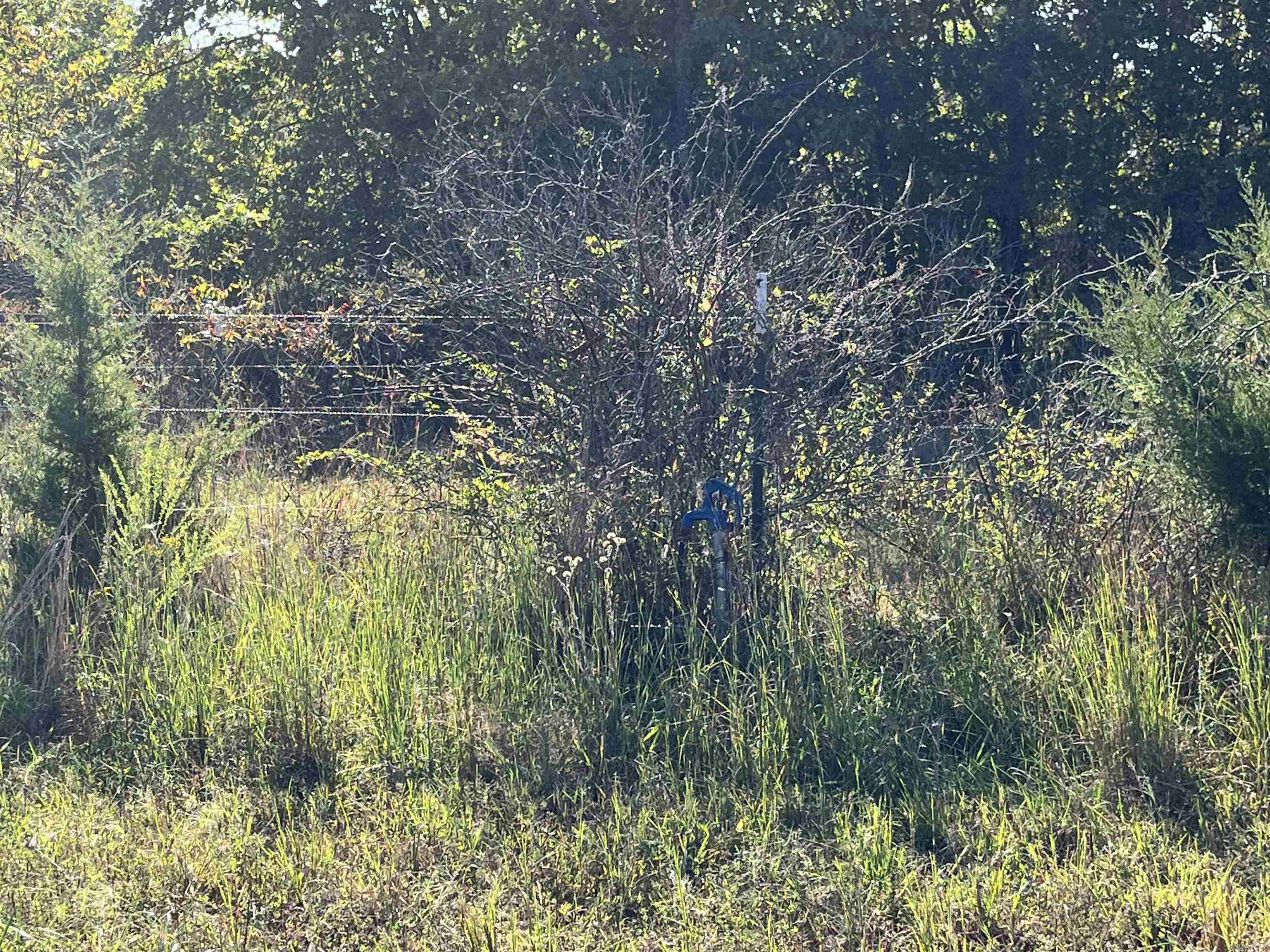 000 County Road 113  Alton, MO