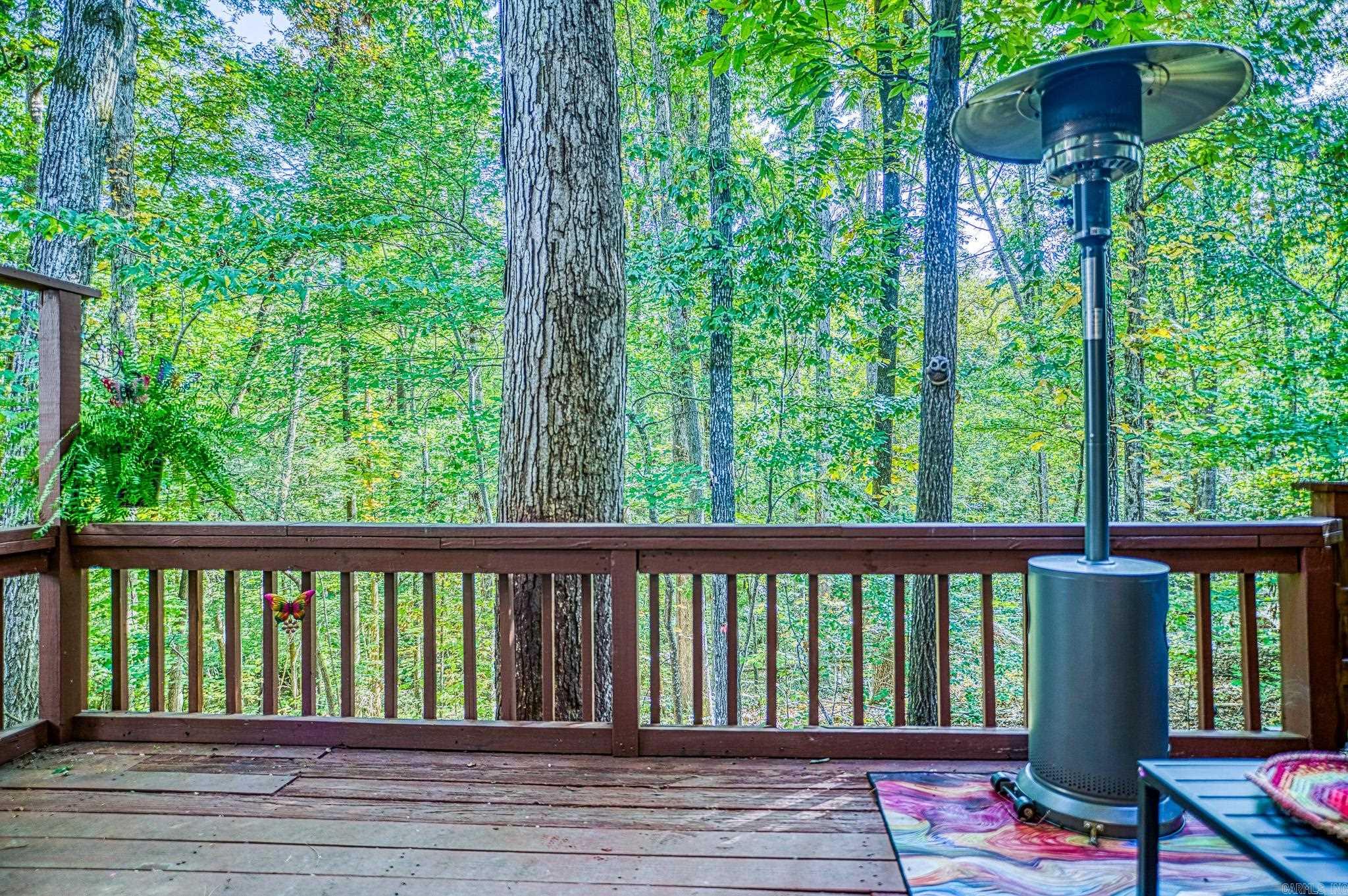 141 LaVista Lane  Hot Springs Village, AR