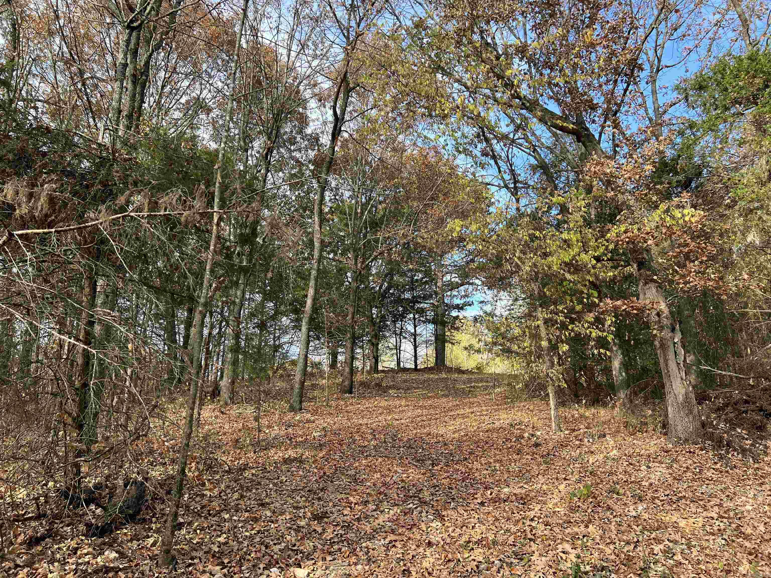 2758 N Center  Harrison, AR