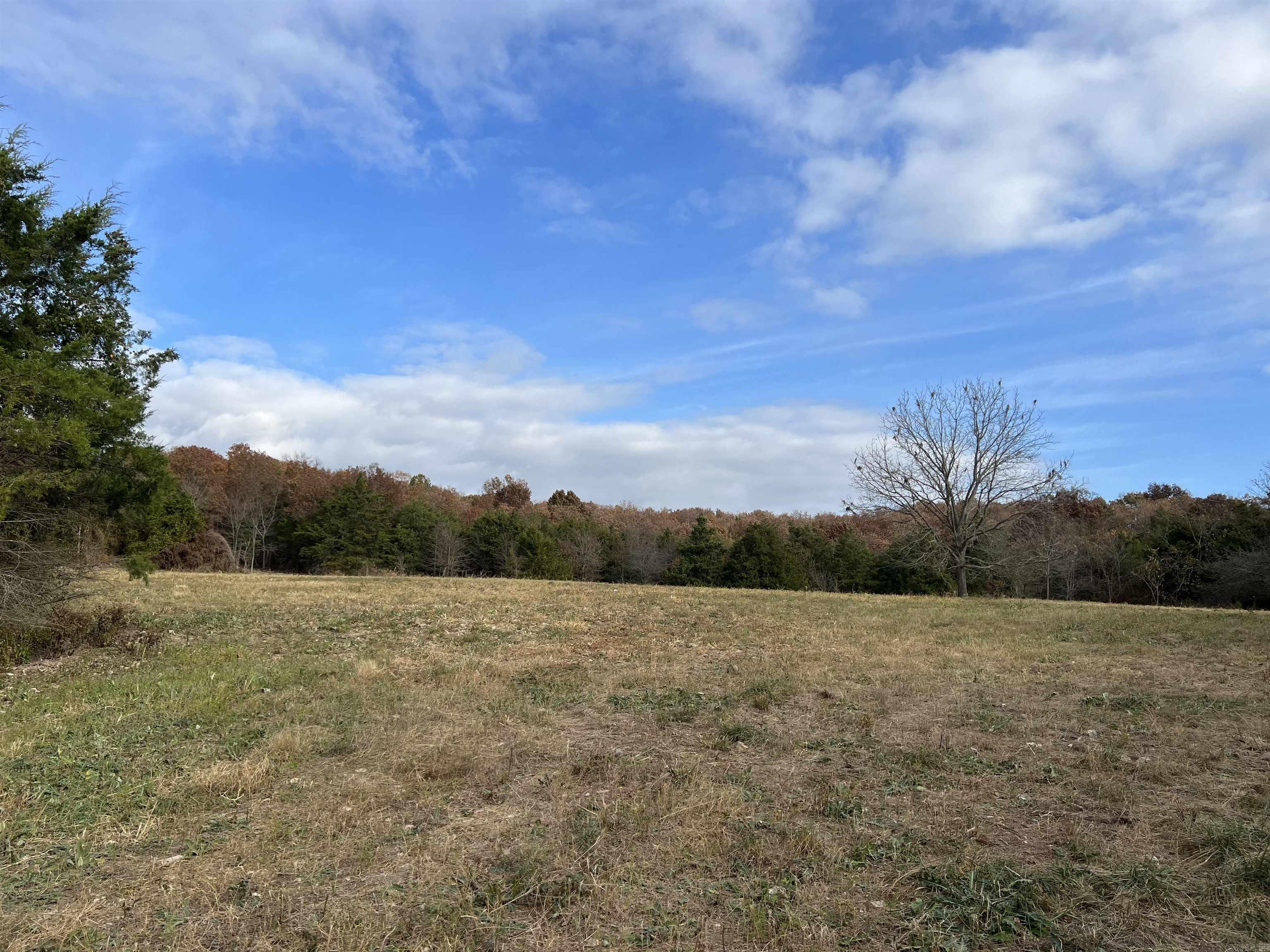 2758 N Center  Harrison, AR