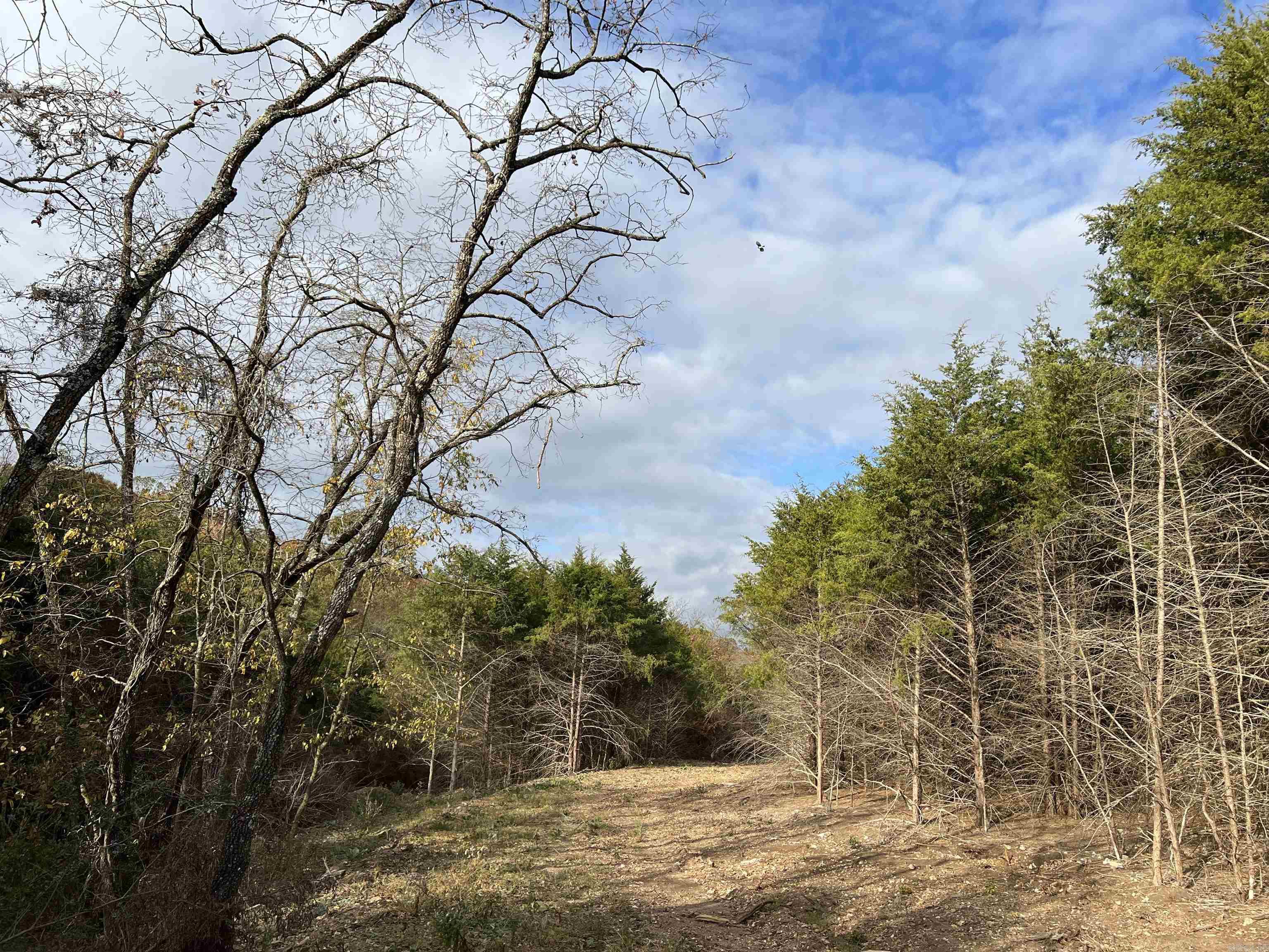 2758 N Center  Harrison, AR