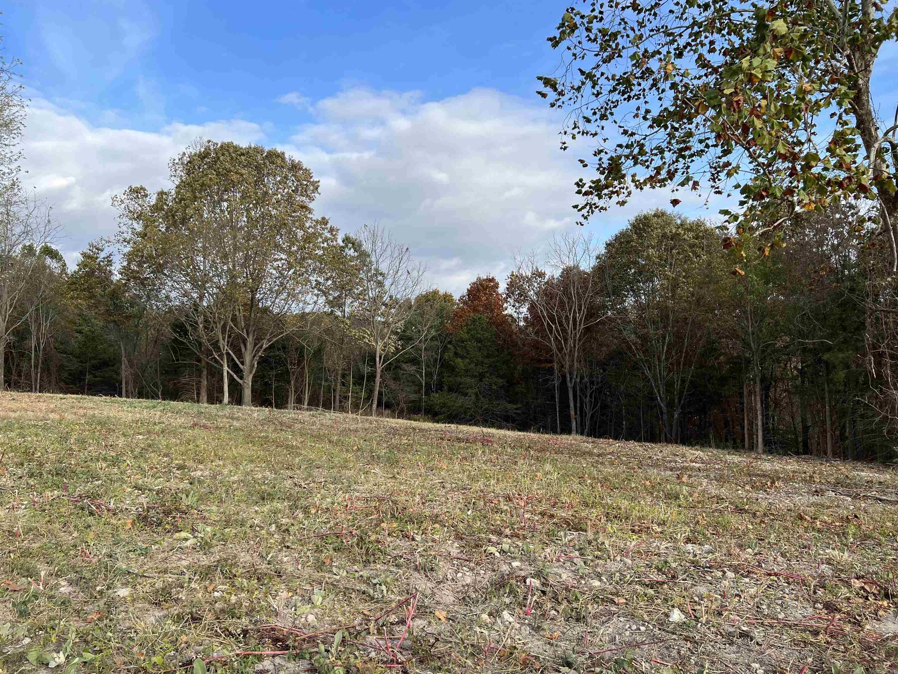 2758 N Center  Harrison, AR