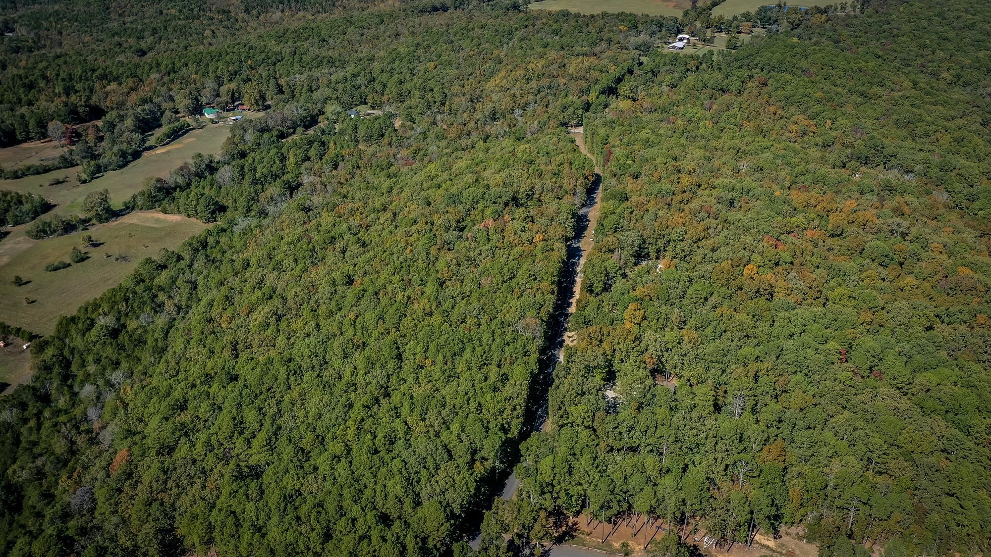 120 Branch Lane  Greers Ferry, AR