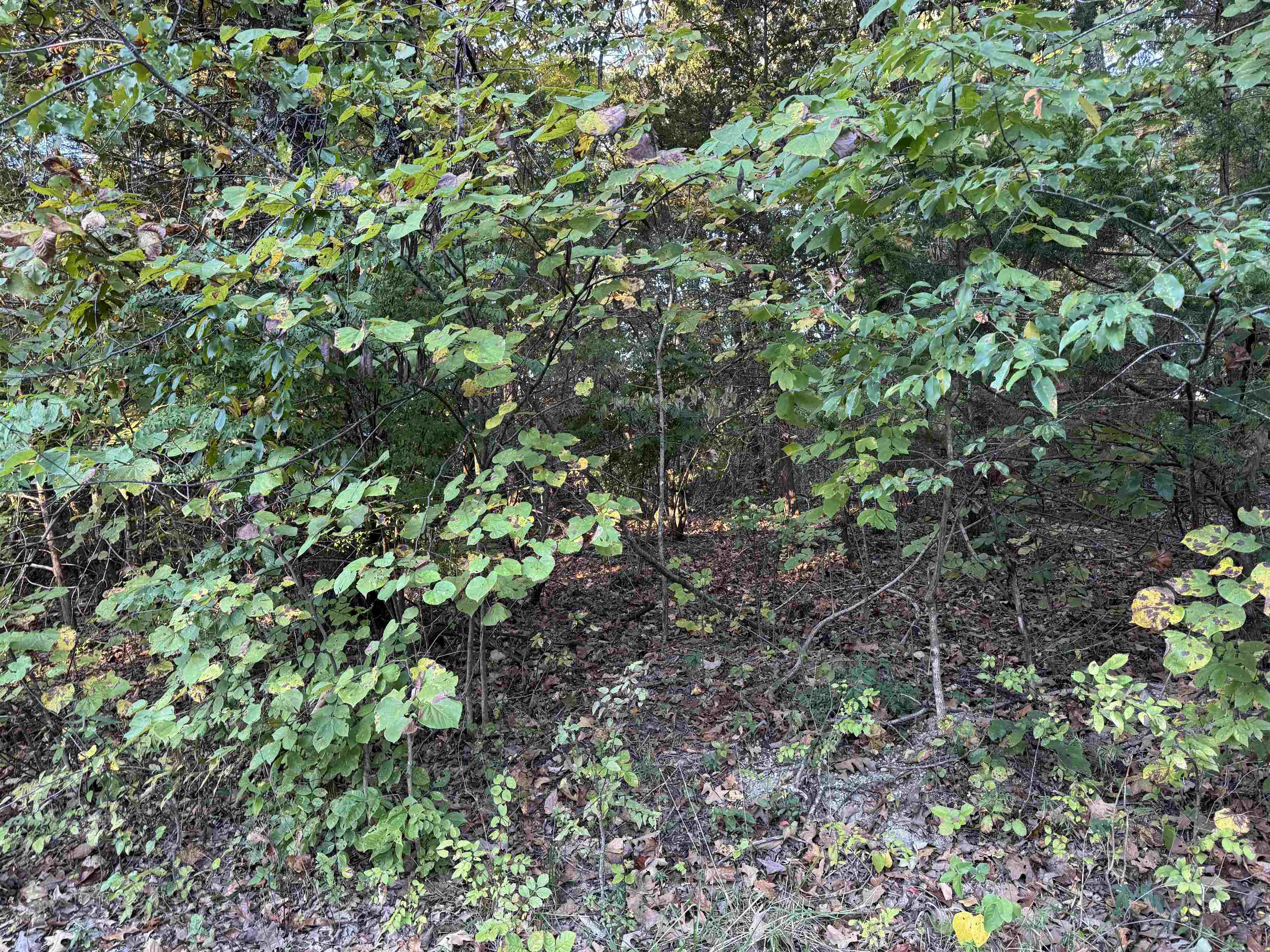 1108 & 1110 Pavilion Lane 1109 Parkway Lane Horseshoe Bend, AR