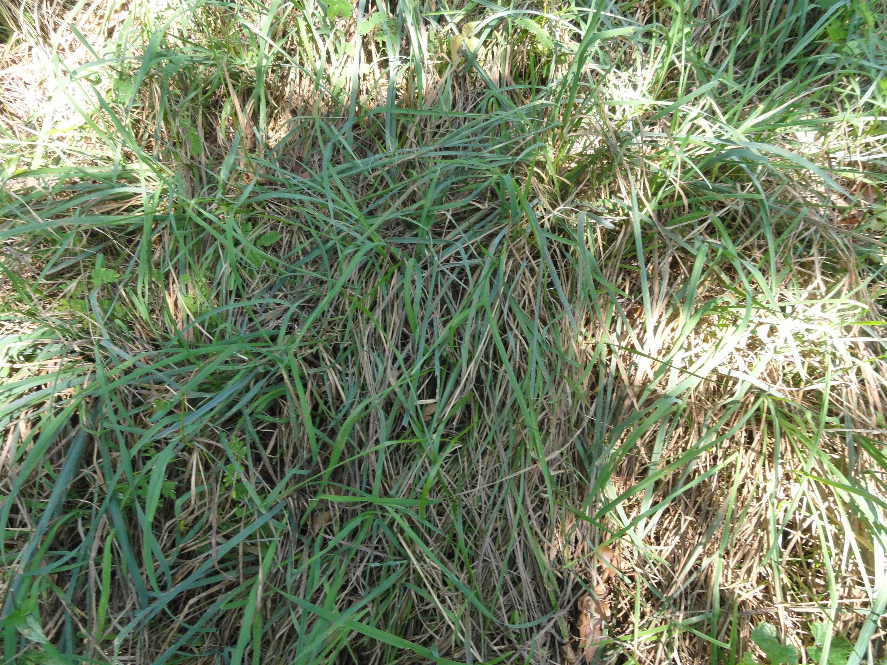 4971 US-65 N  Clinton, AR