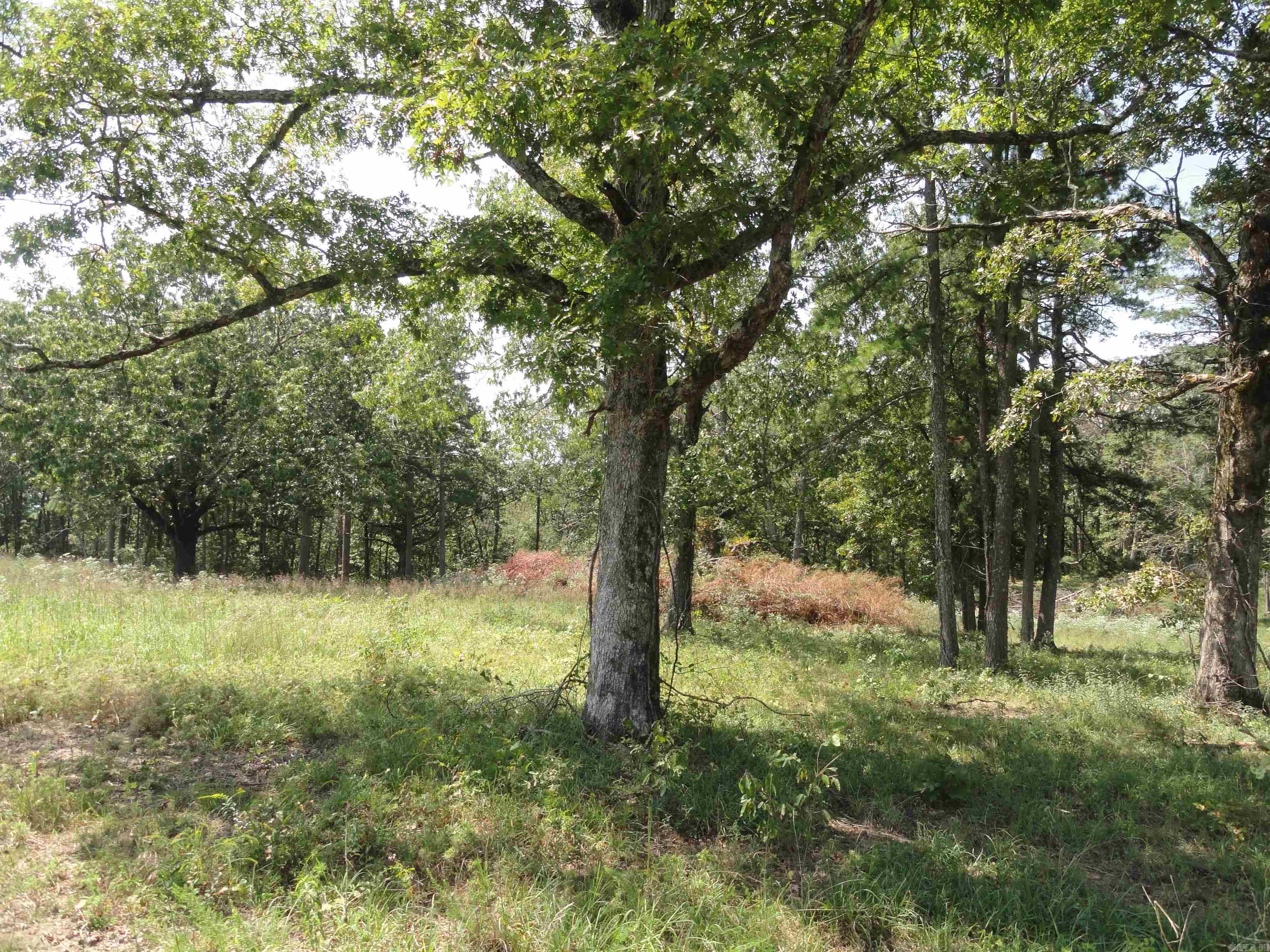 4971 US-65 N  Clinton, AR