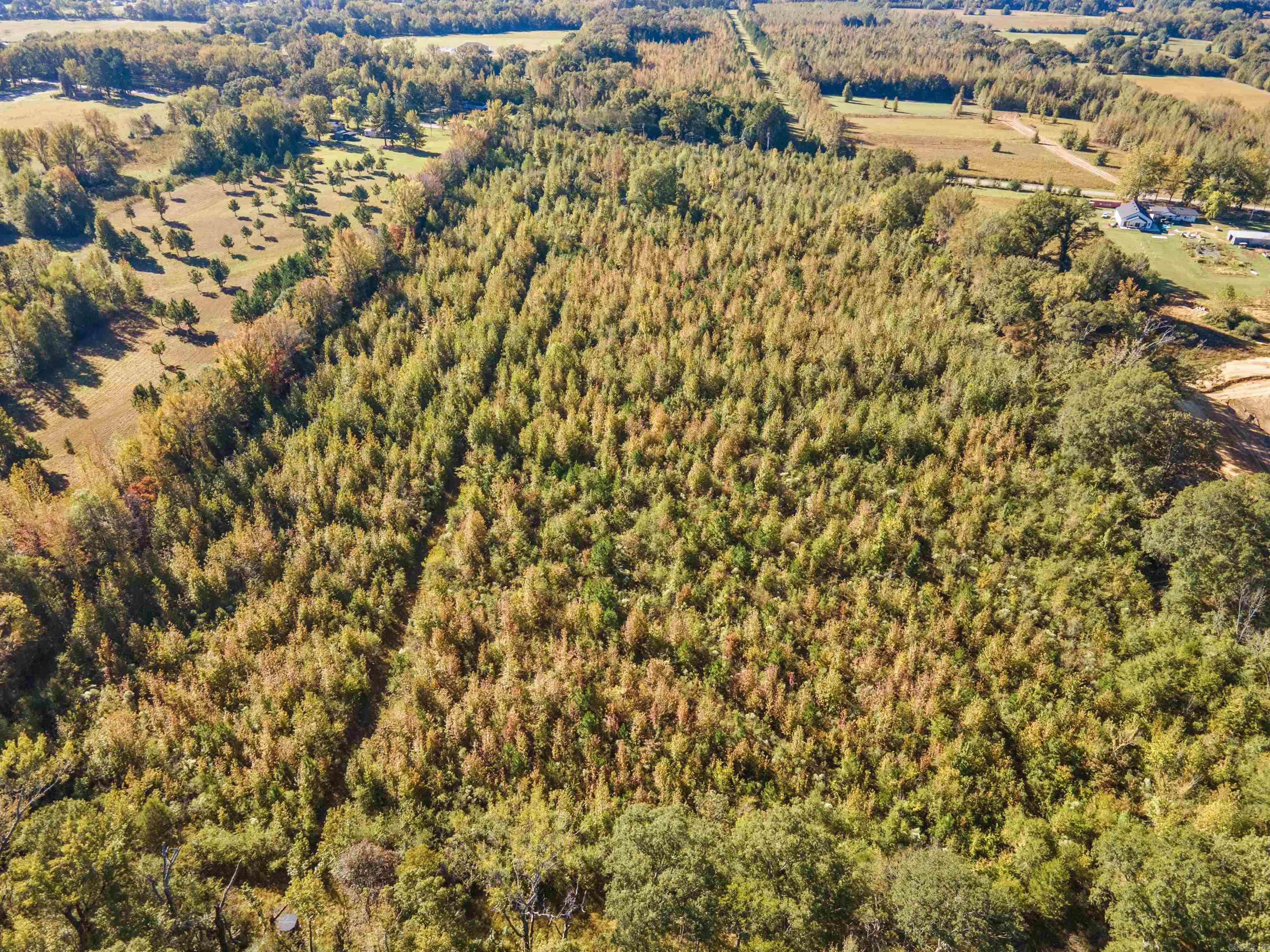 6673 Hwy 319 W  Austin, AR