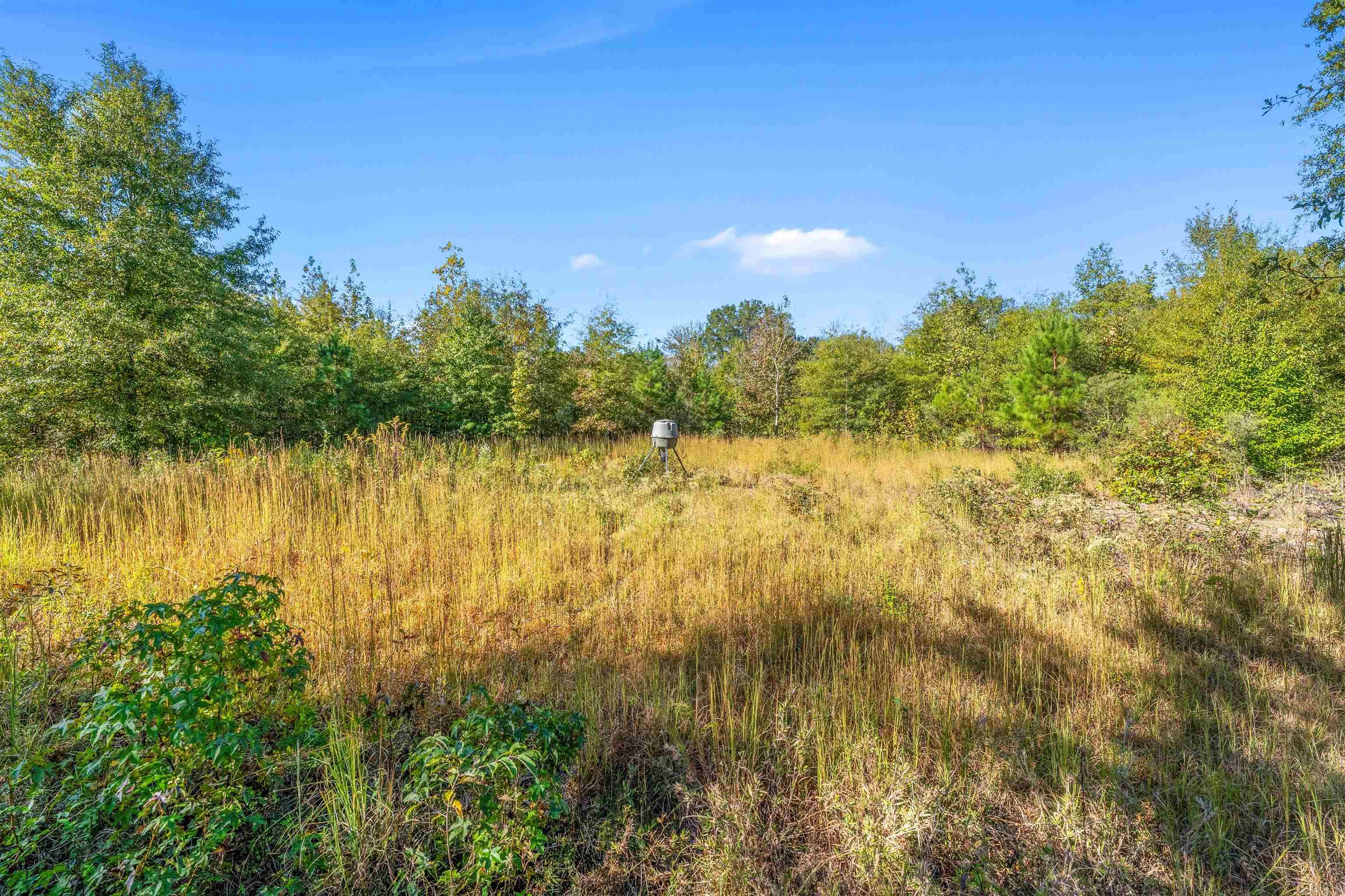 6673 Hwy 319 W  Austin, AR